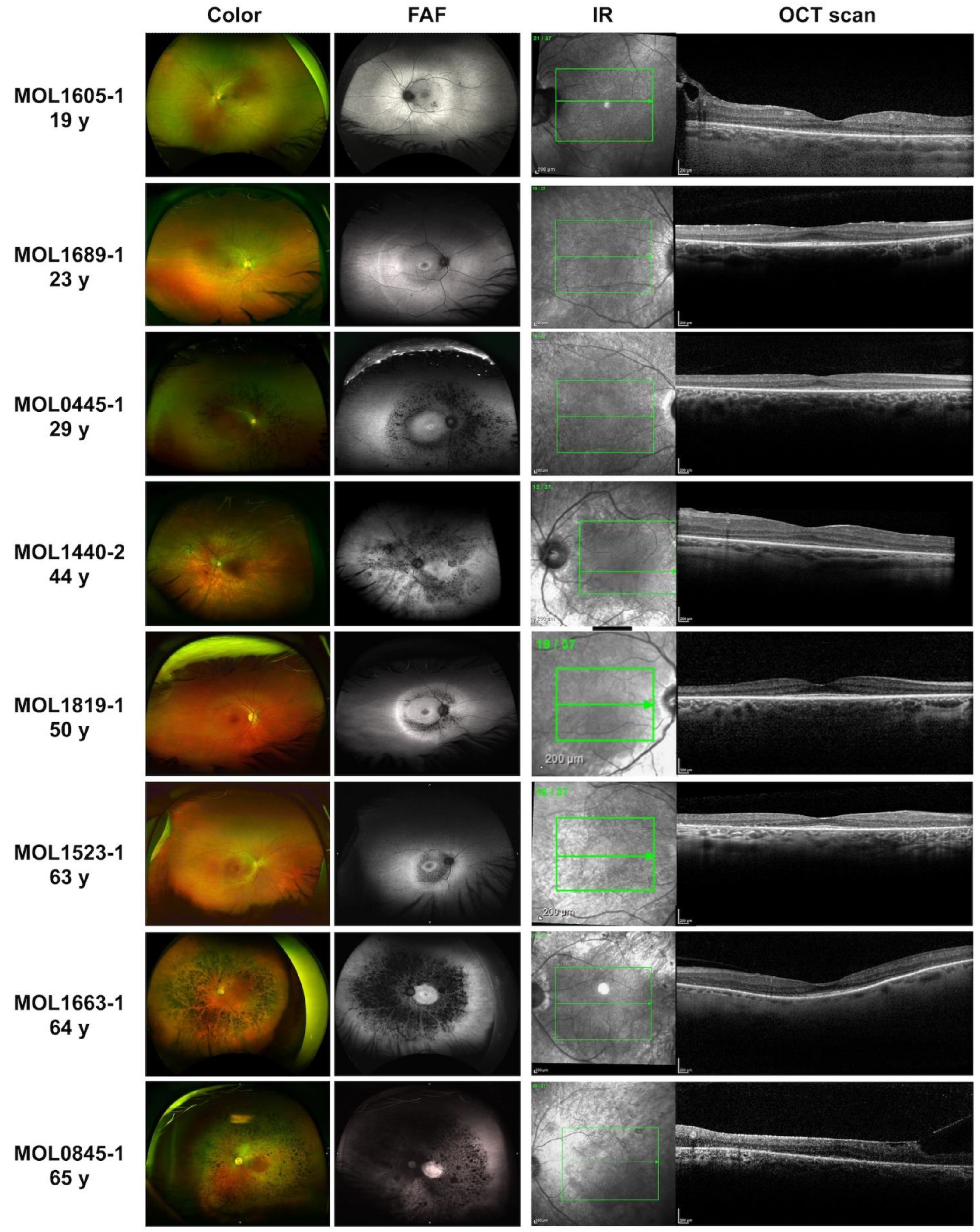 Preprints 107461 g002