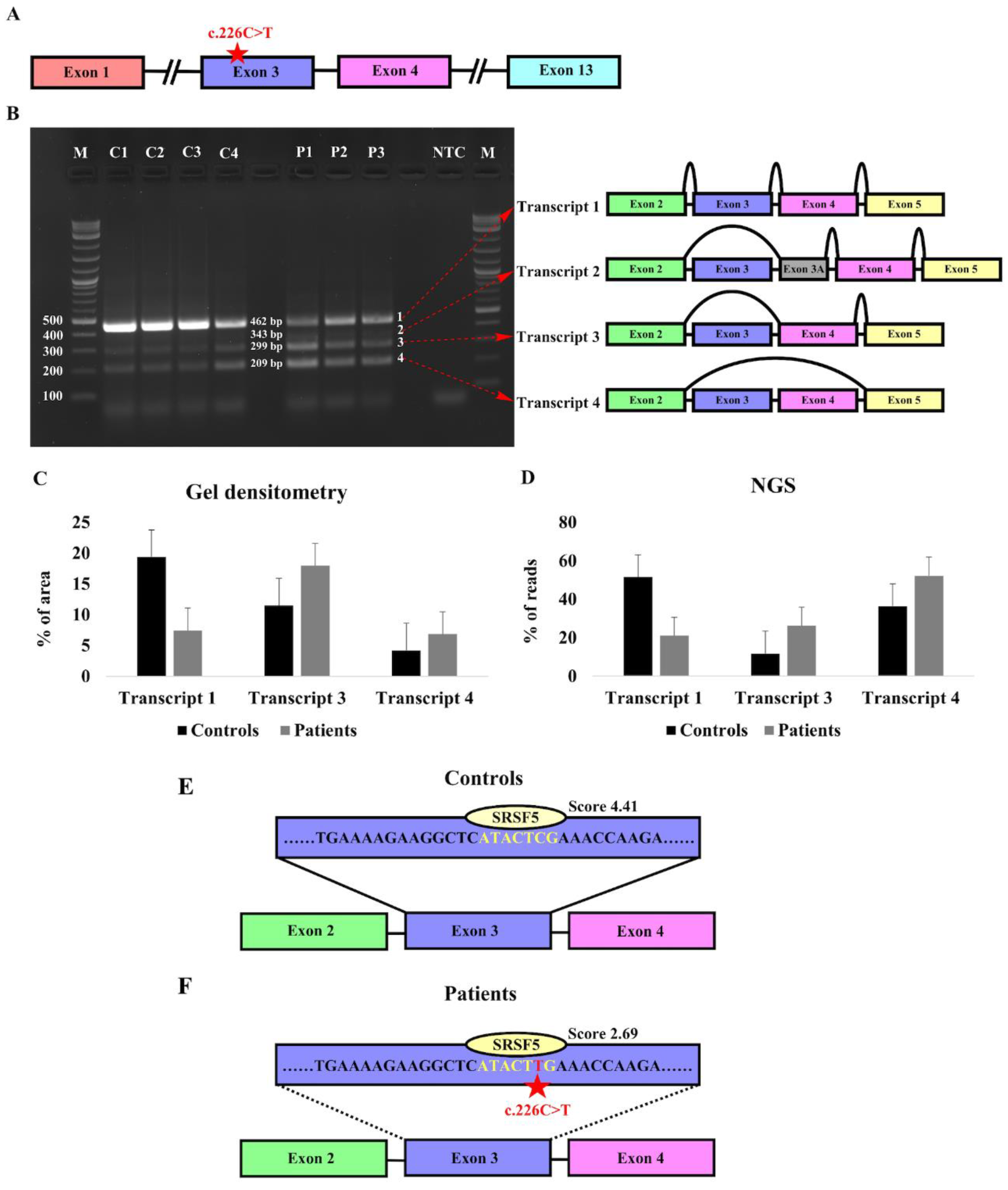 Preprints 107461 g004