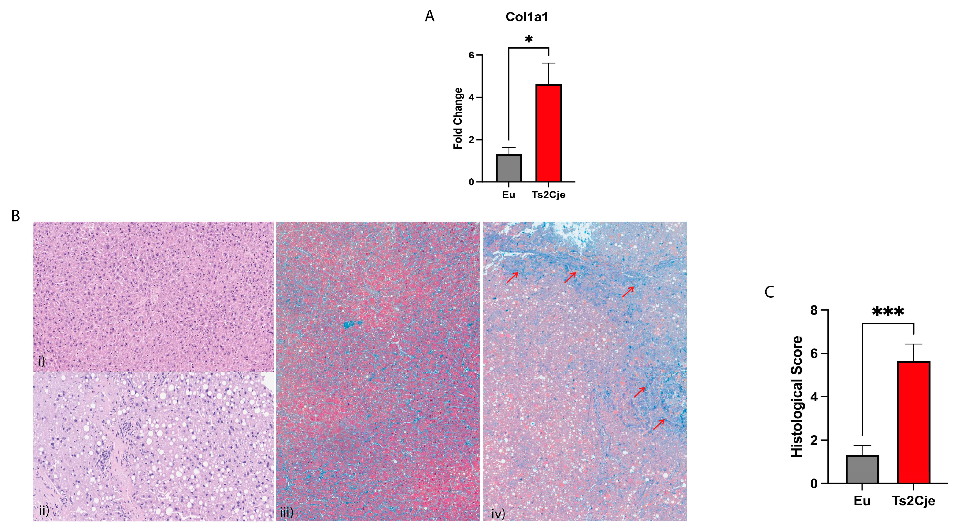 Preprints 83836 g004