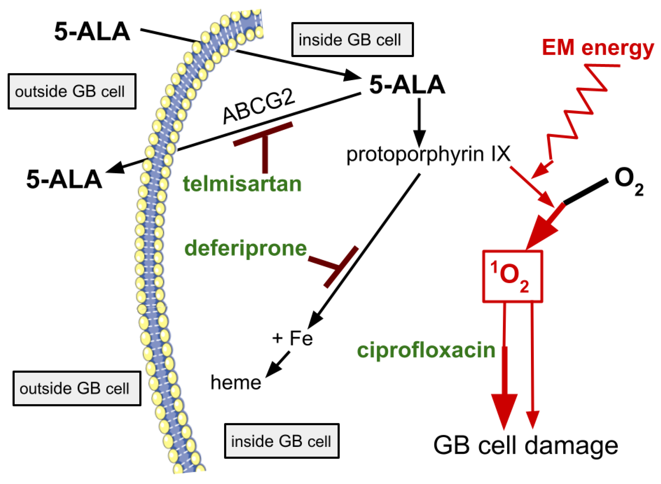 Preprints 113108 g002