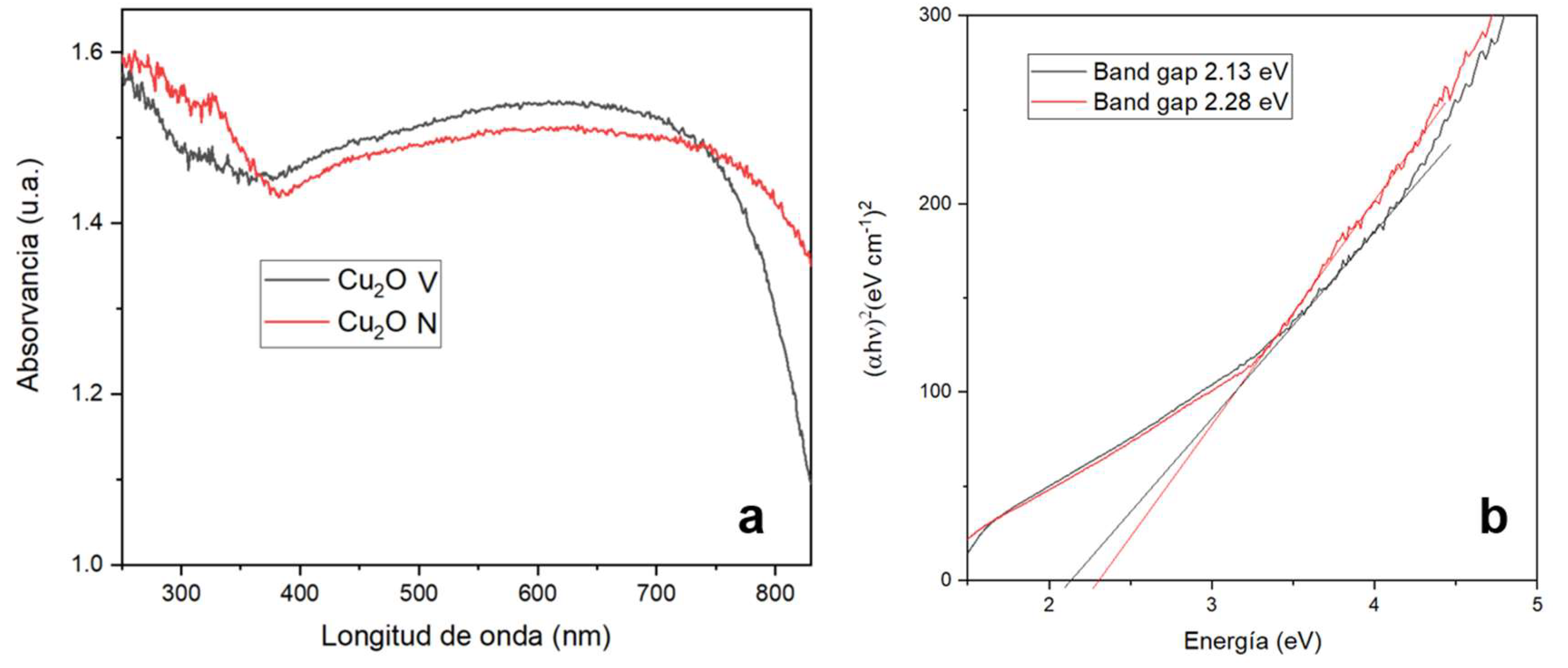 Preprints 112855 g004