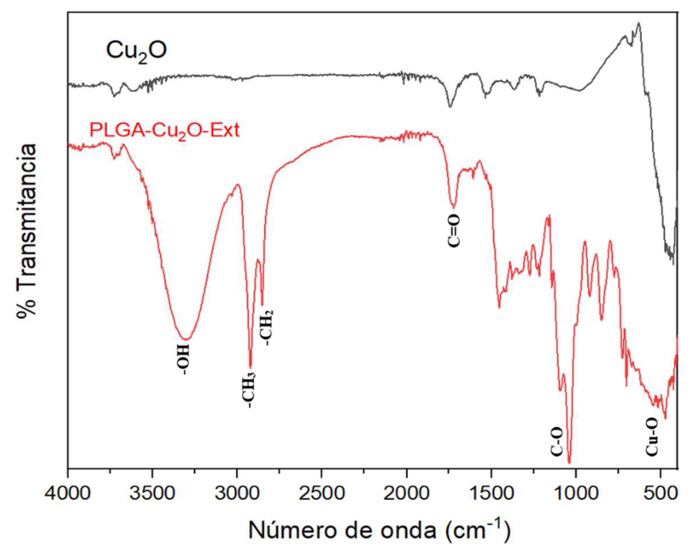 Preprints 112855 g005