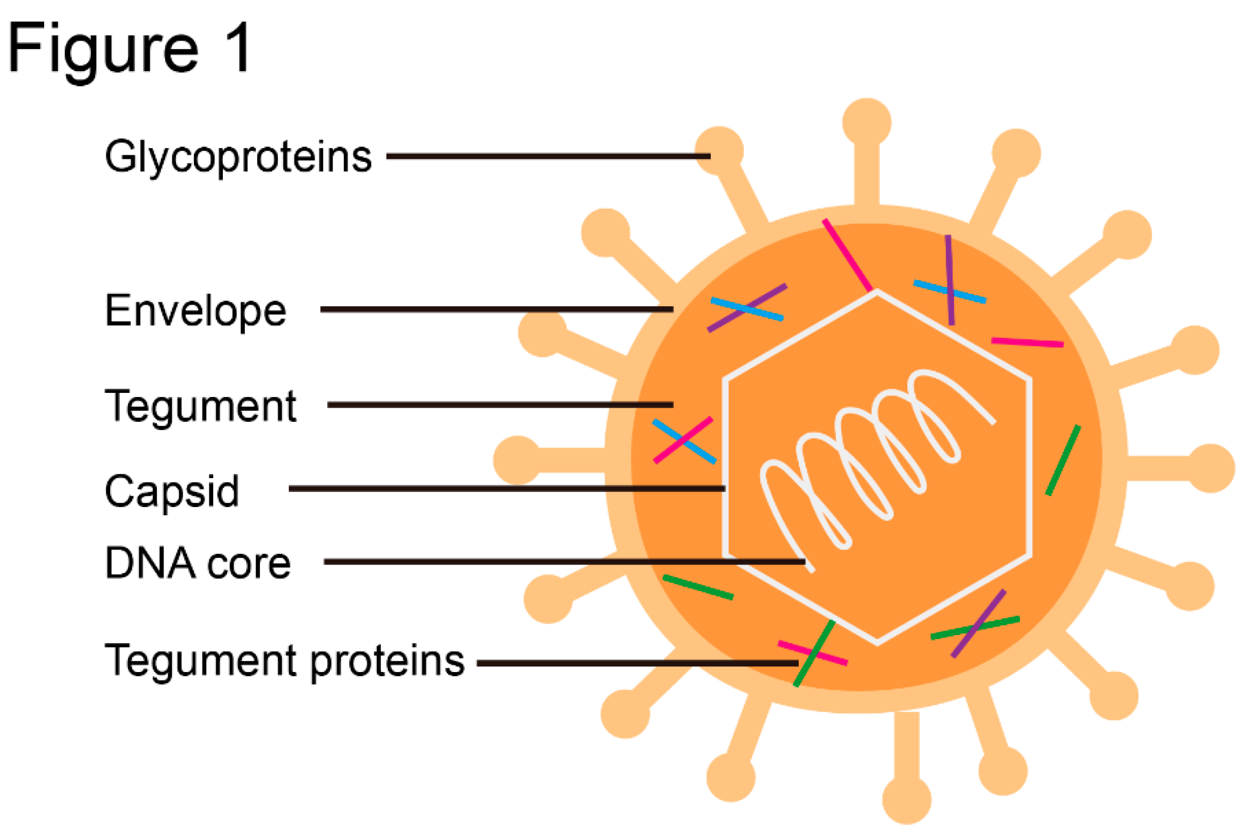 Preprints 89436 g001