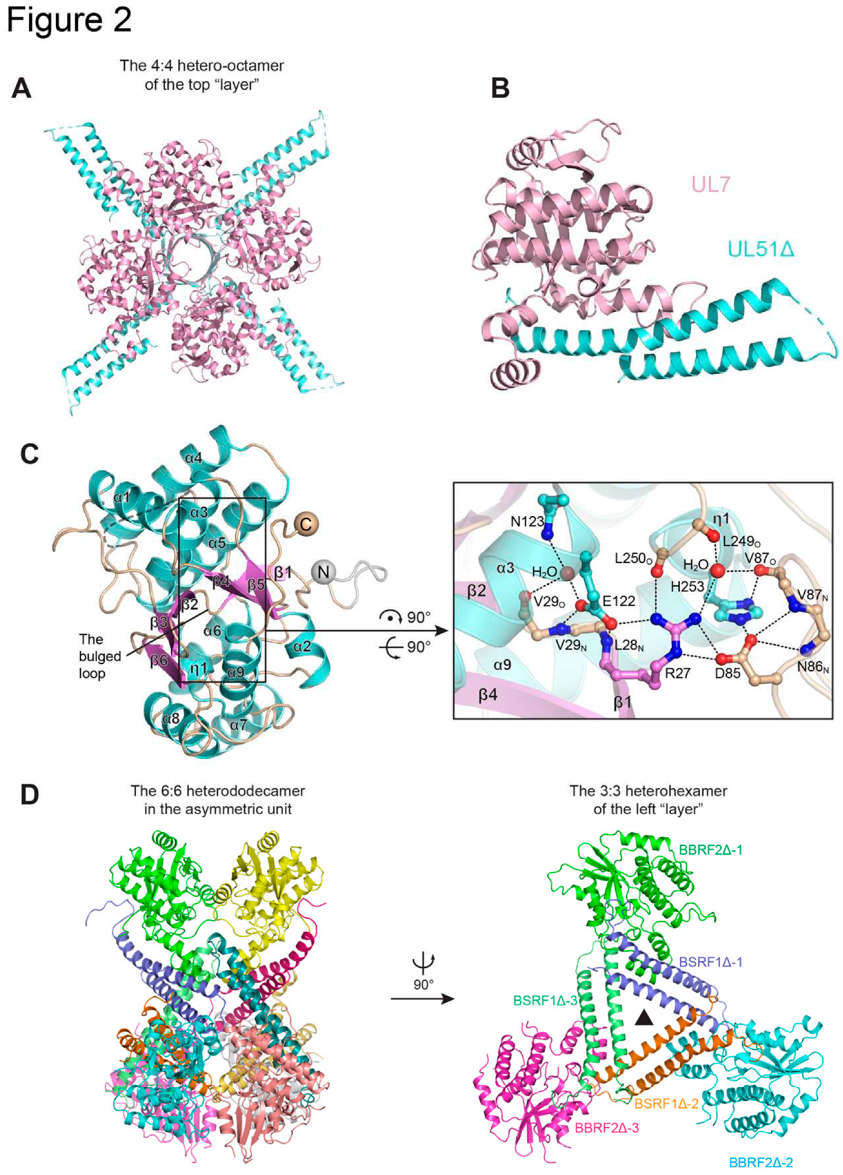 Preprints 89436 g002