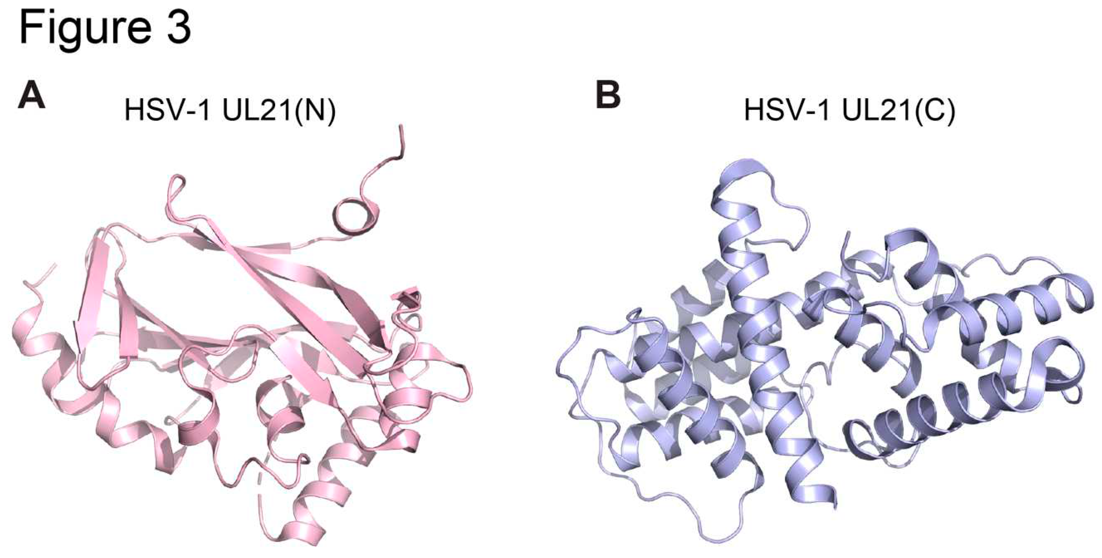 Preprints 89436 g003