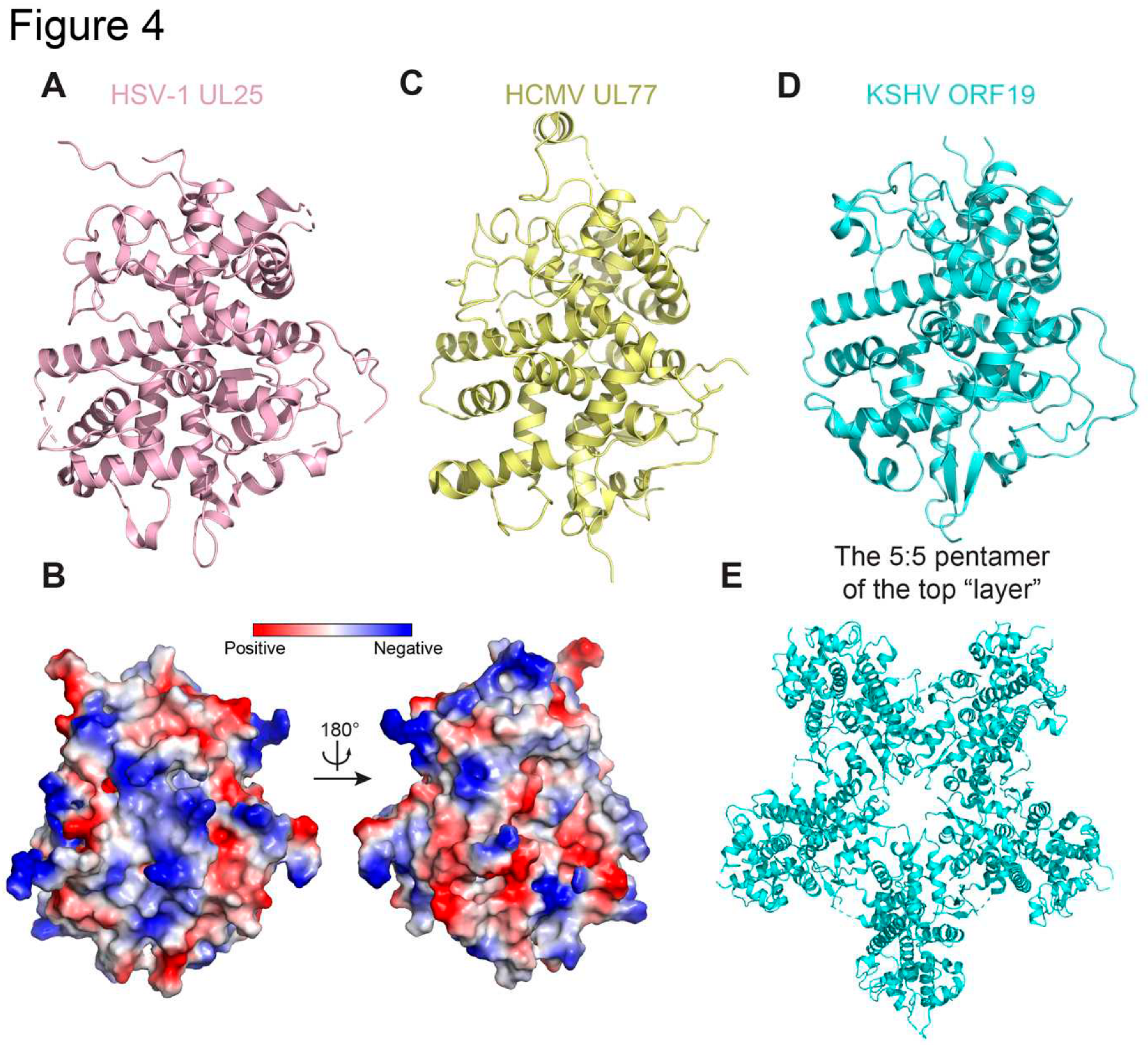 Preprints 89436 g004