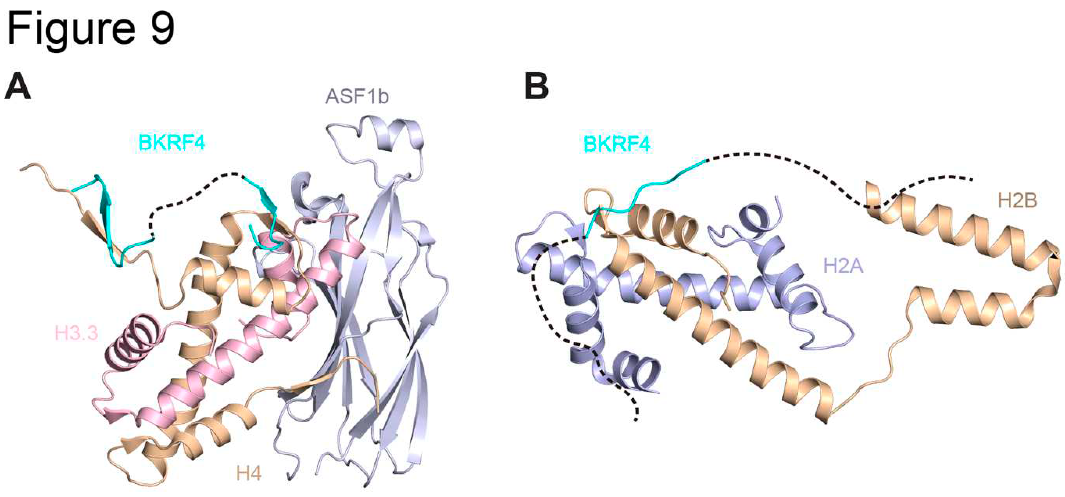 Preprints 89436 g009