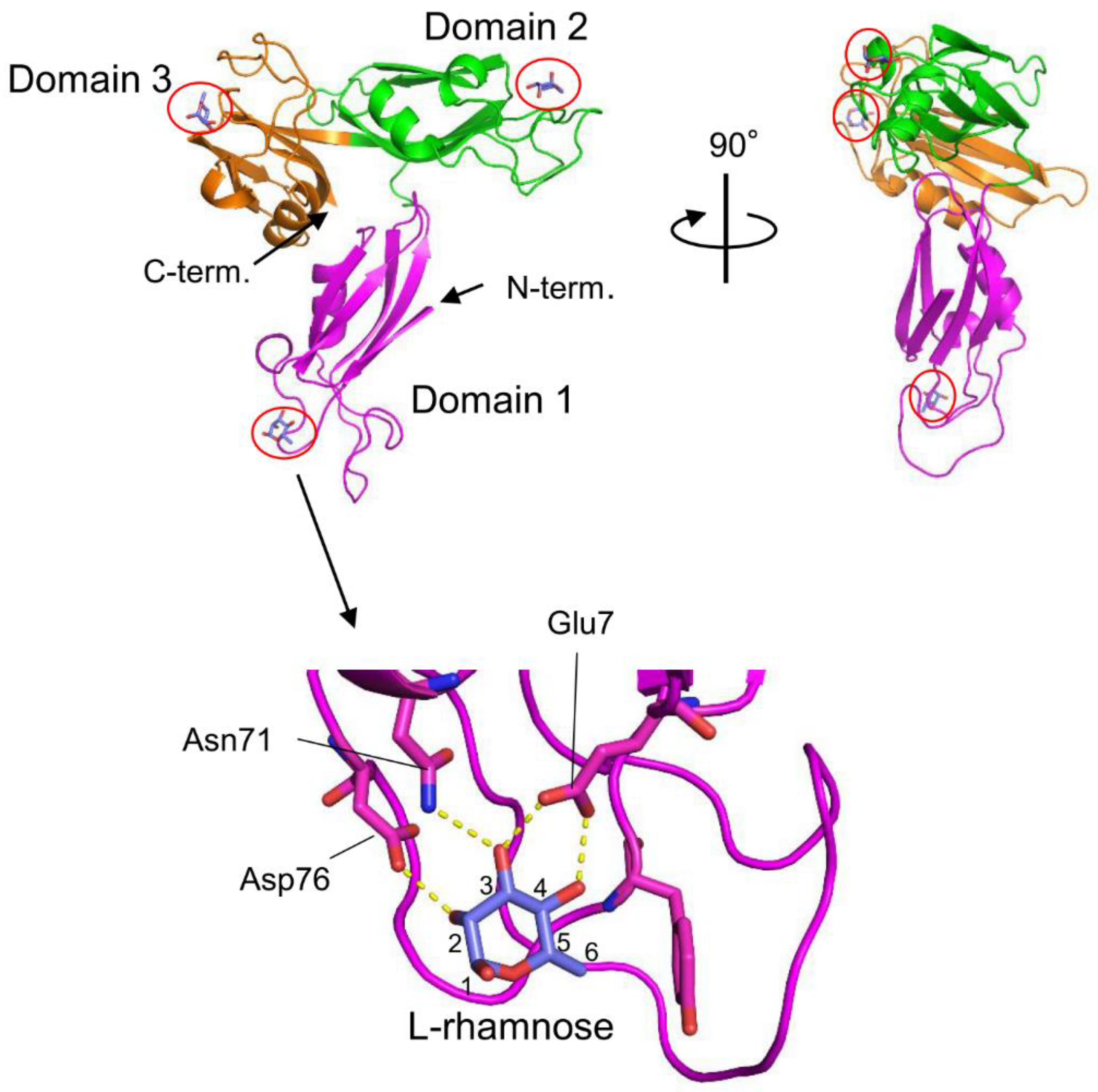 Preprints 76165 g004