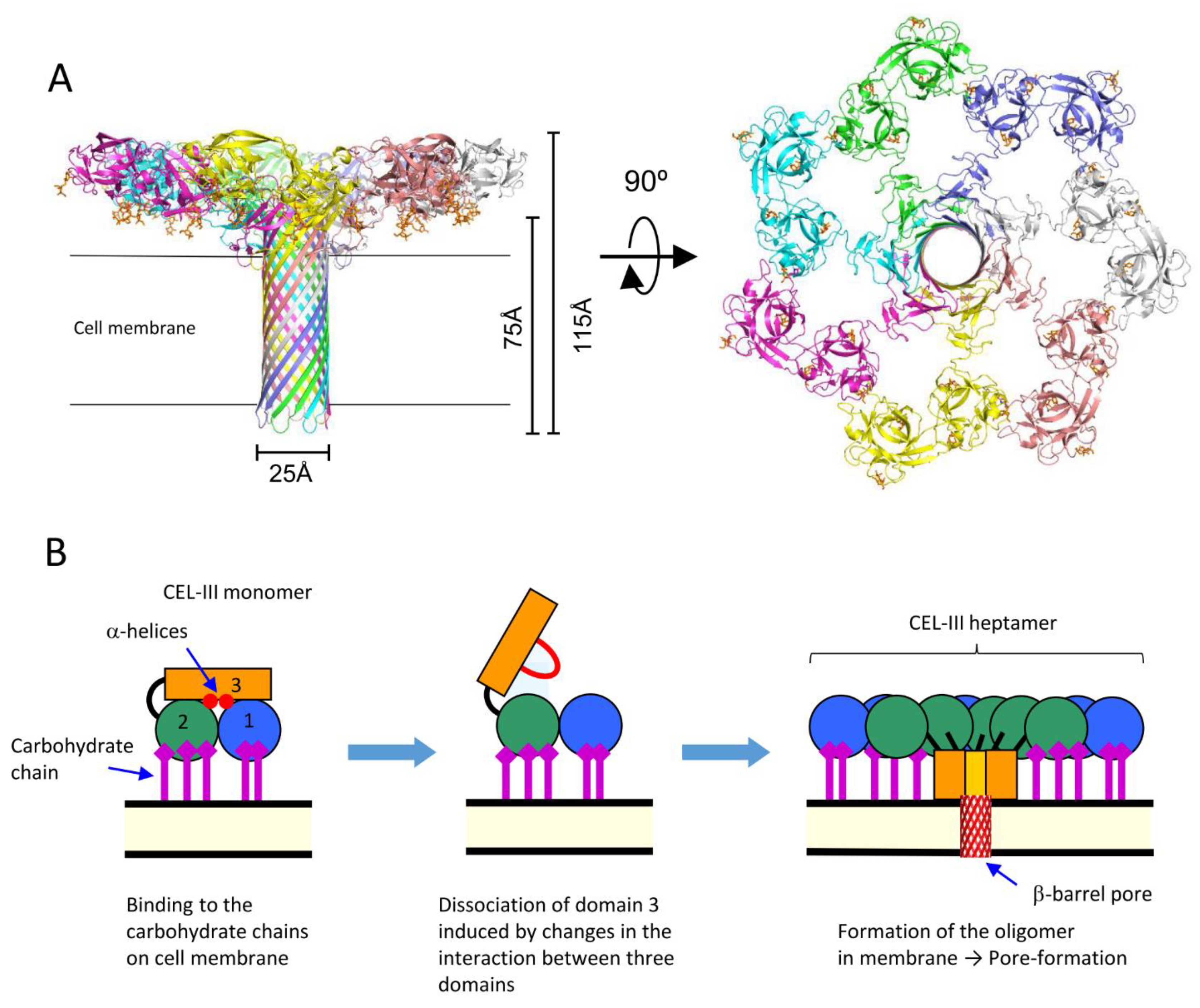 Preprints 76165 g006