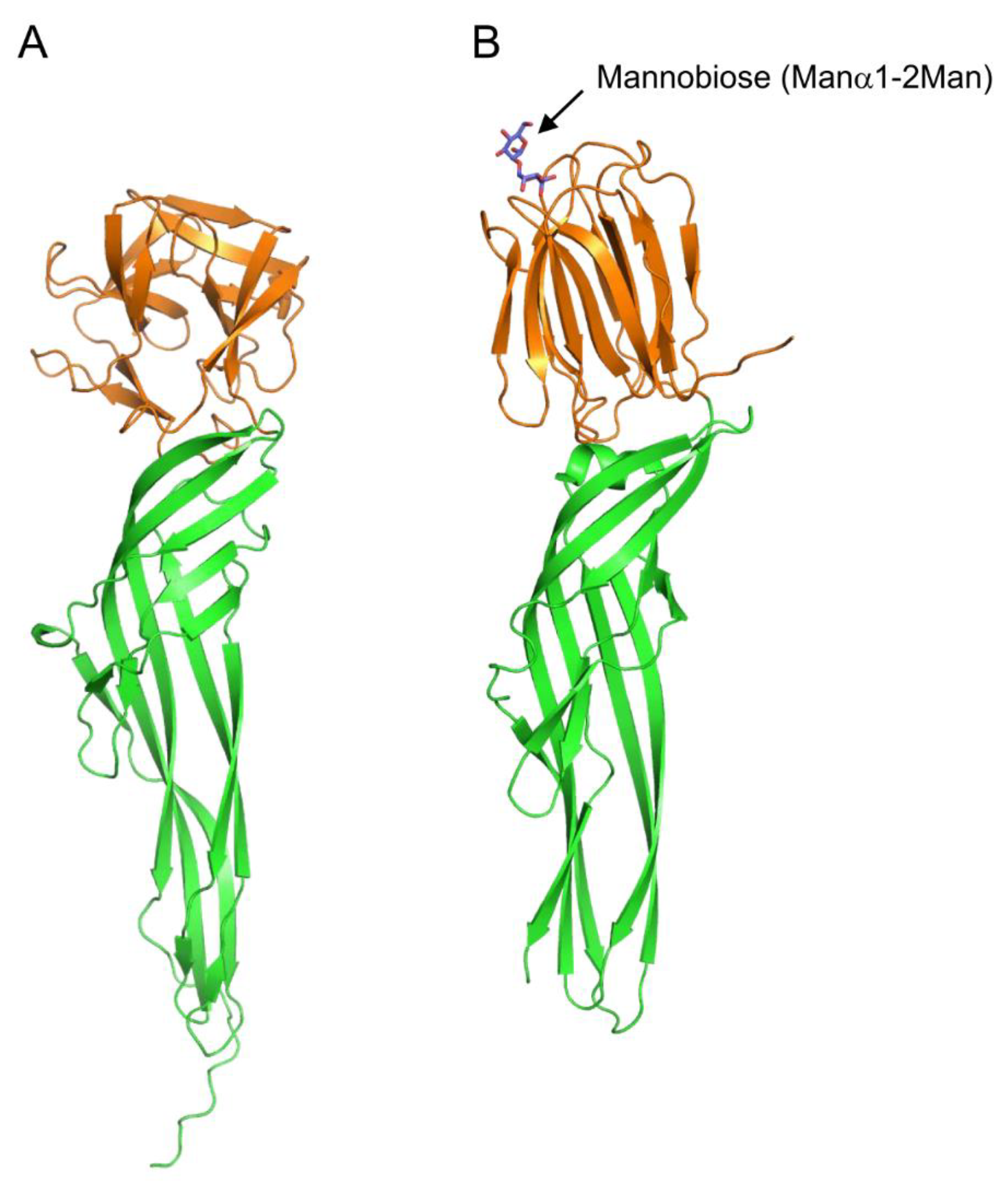 Preprints 76165 g007