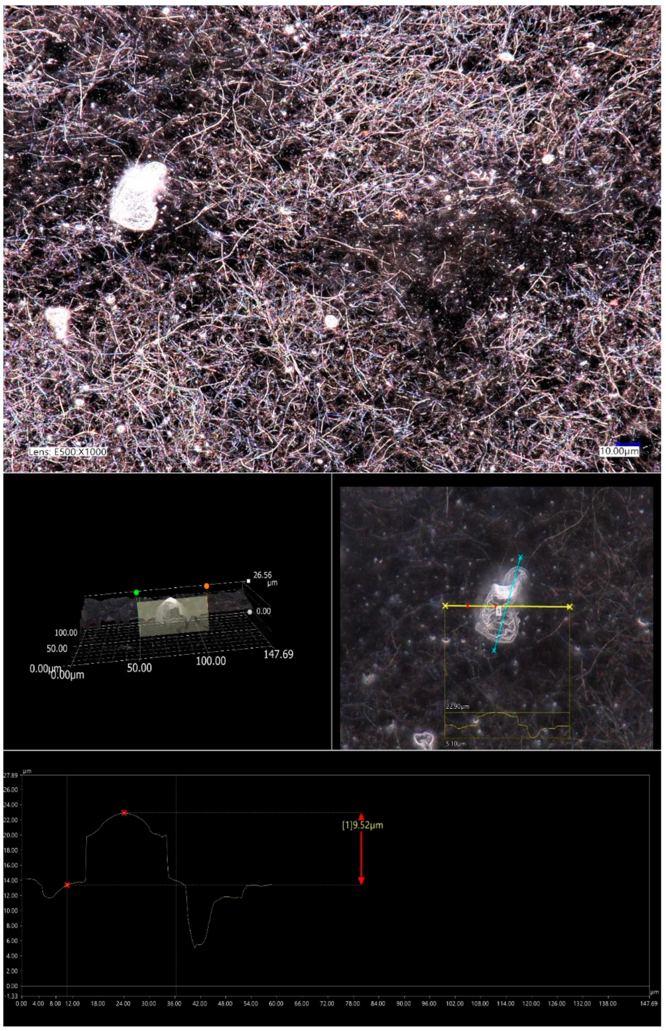 Preprints 73974 g007