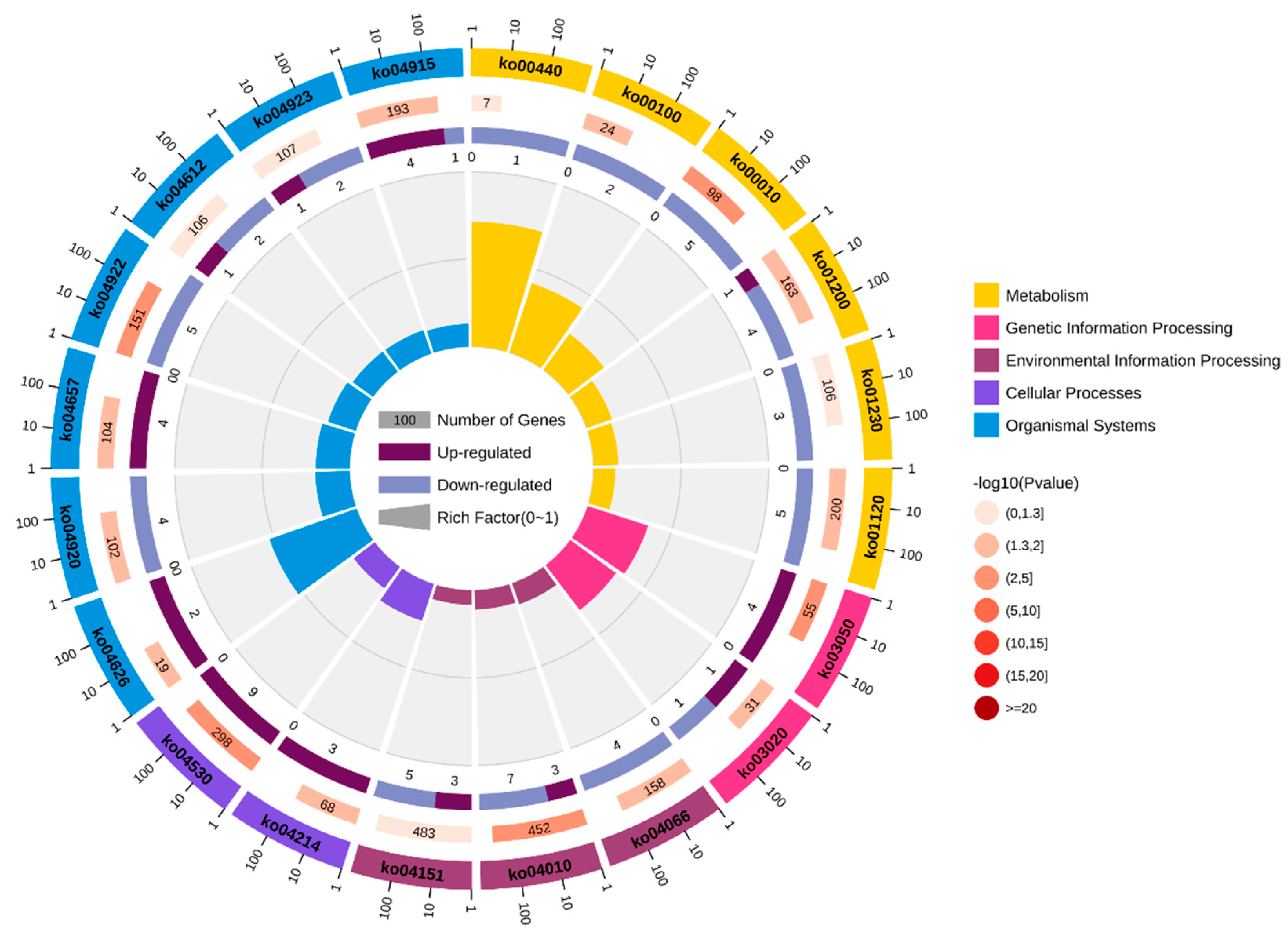 Preprints 71335 g002