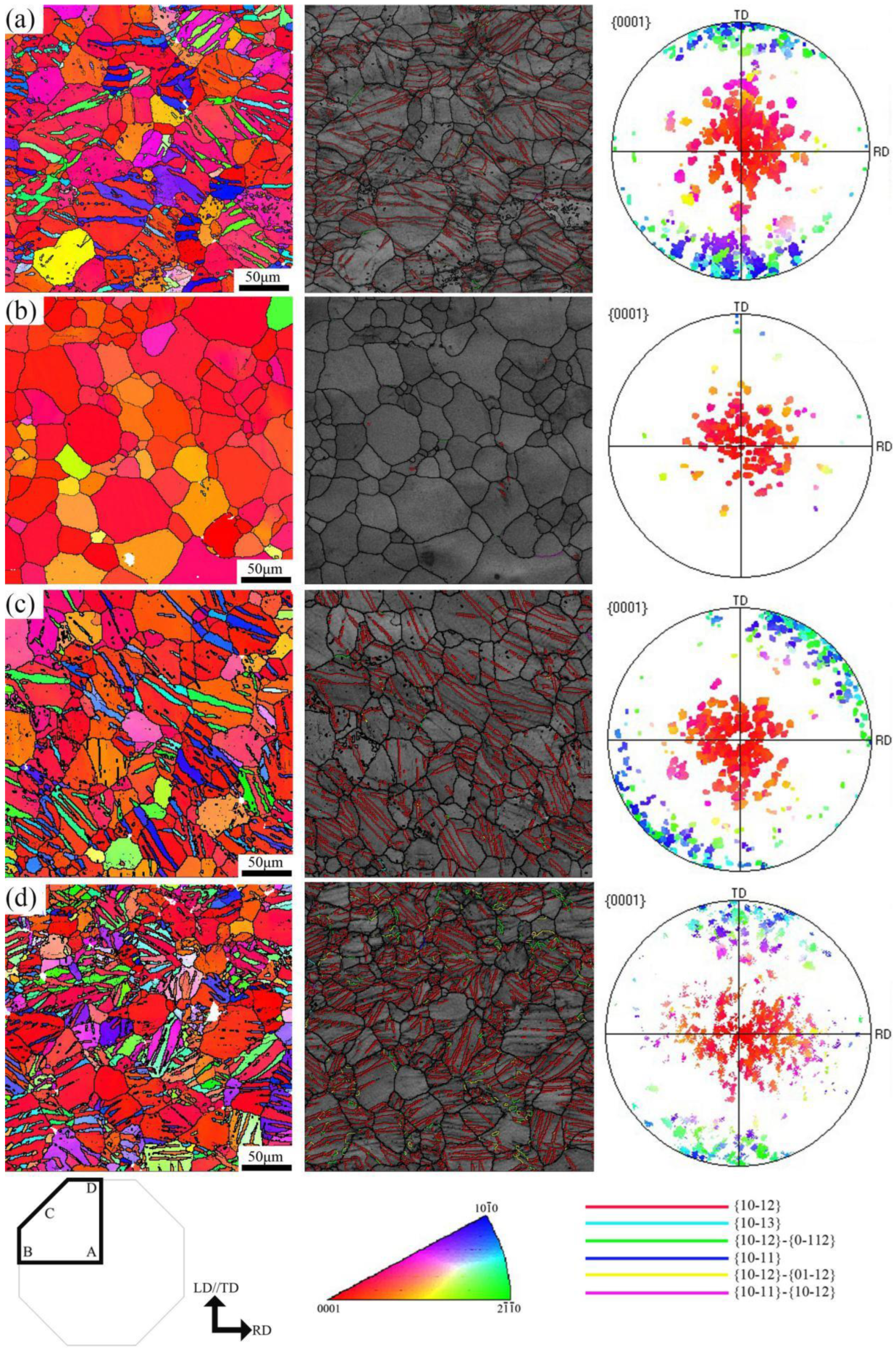 Preprints 99035 g005