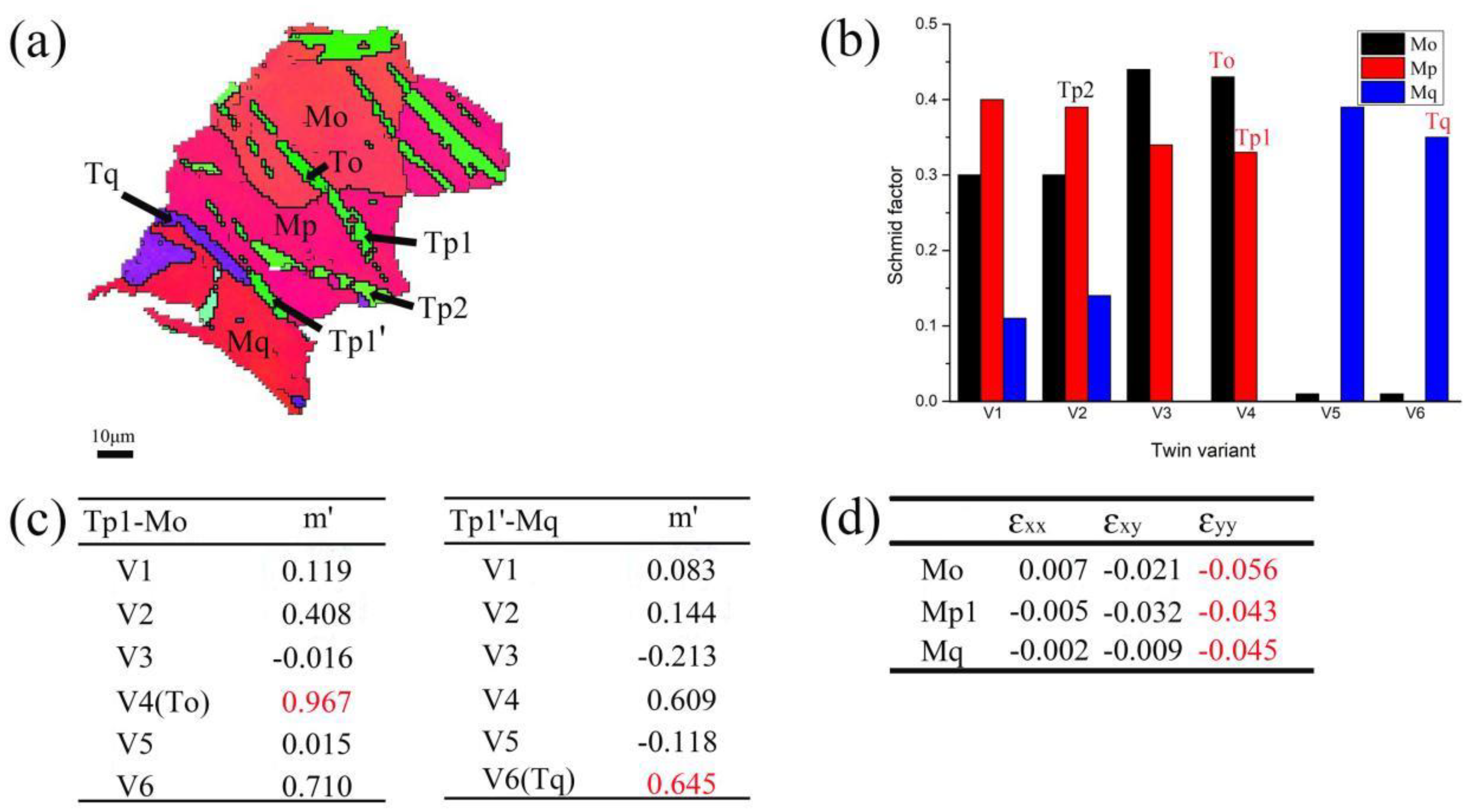 Preprints 99035 g010