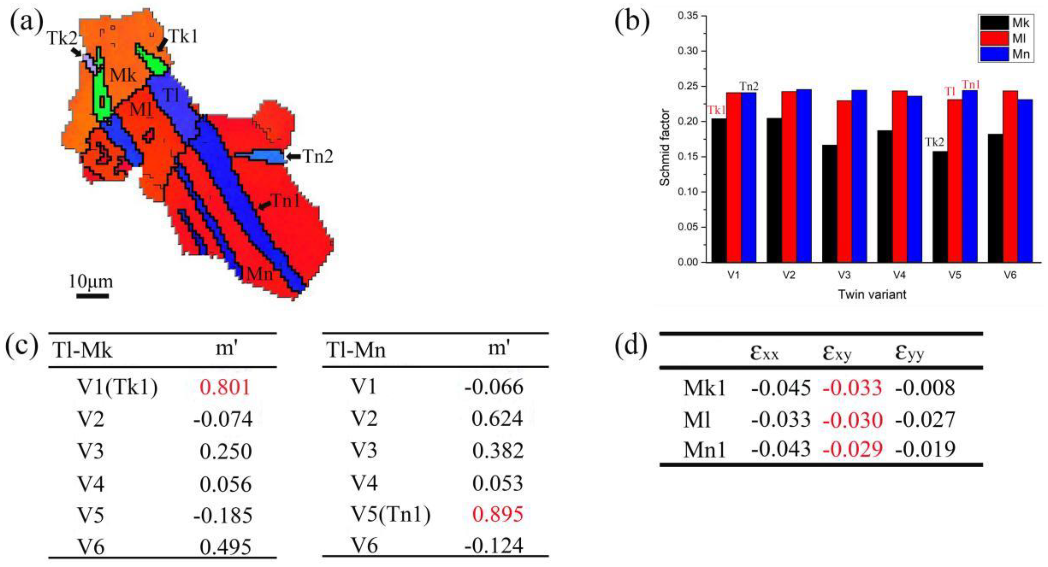 Preprints 99035 g011