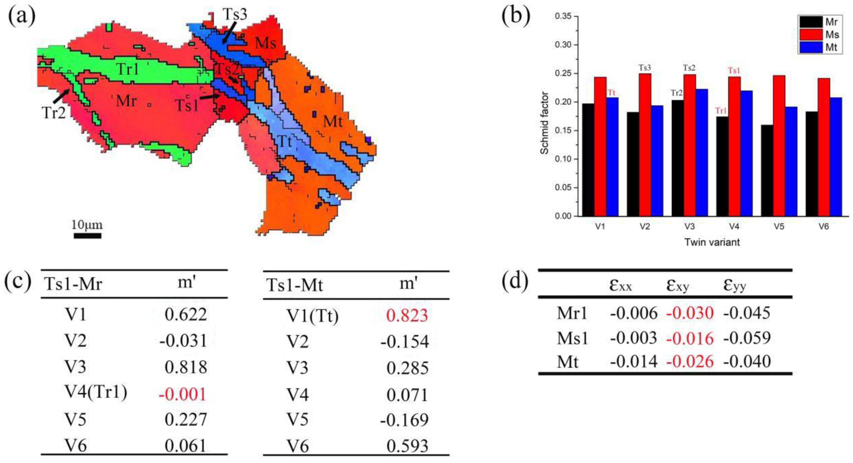 Preprints 99035 g012