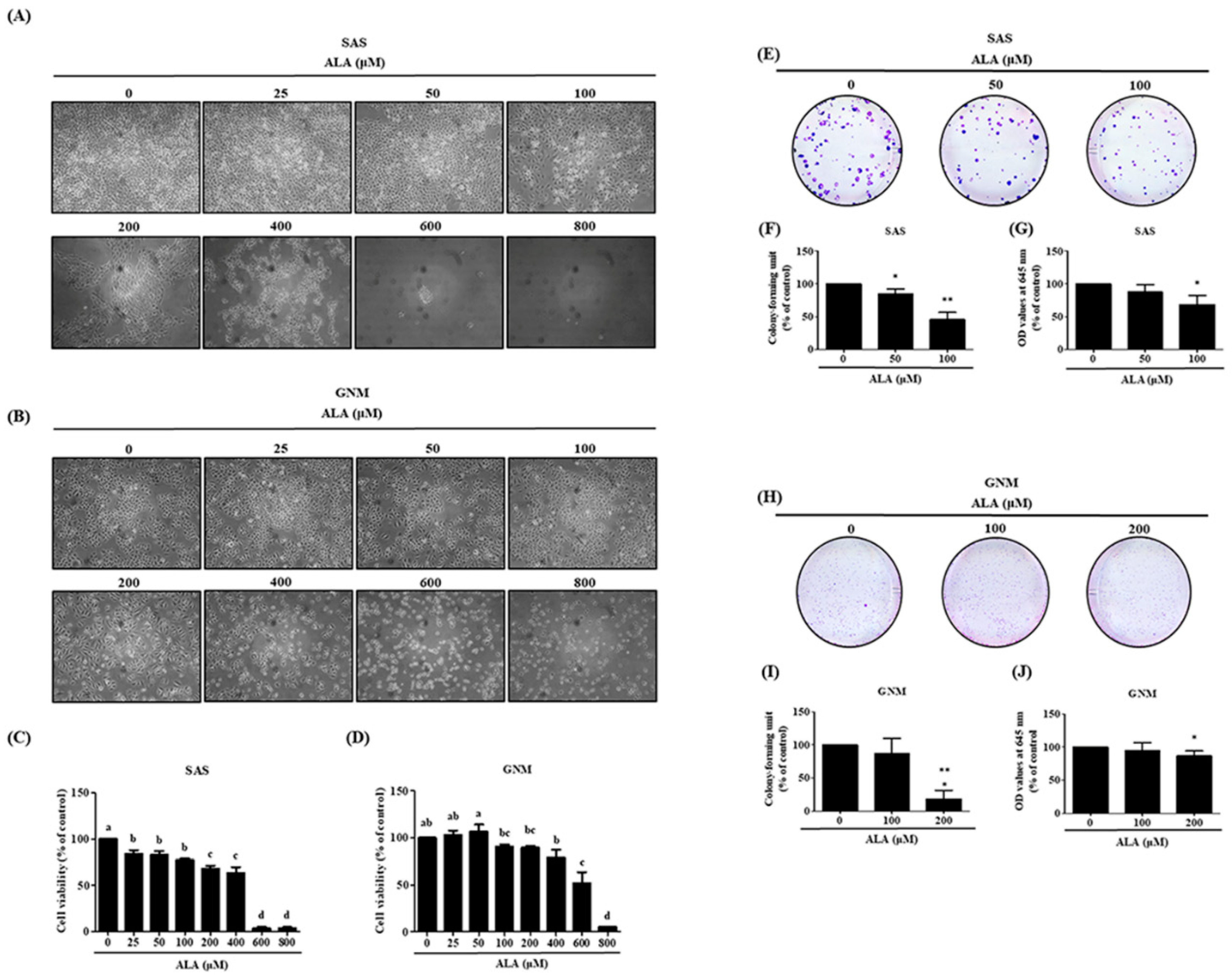 Preprints 87131 g001