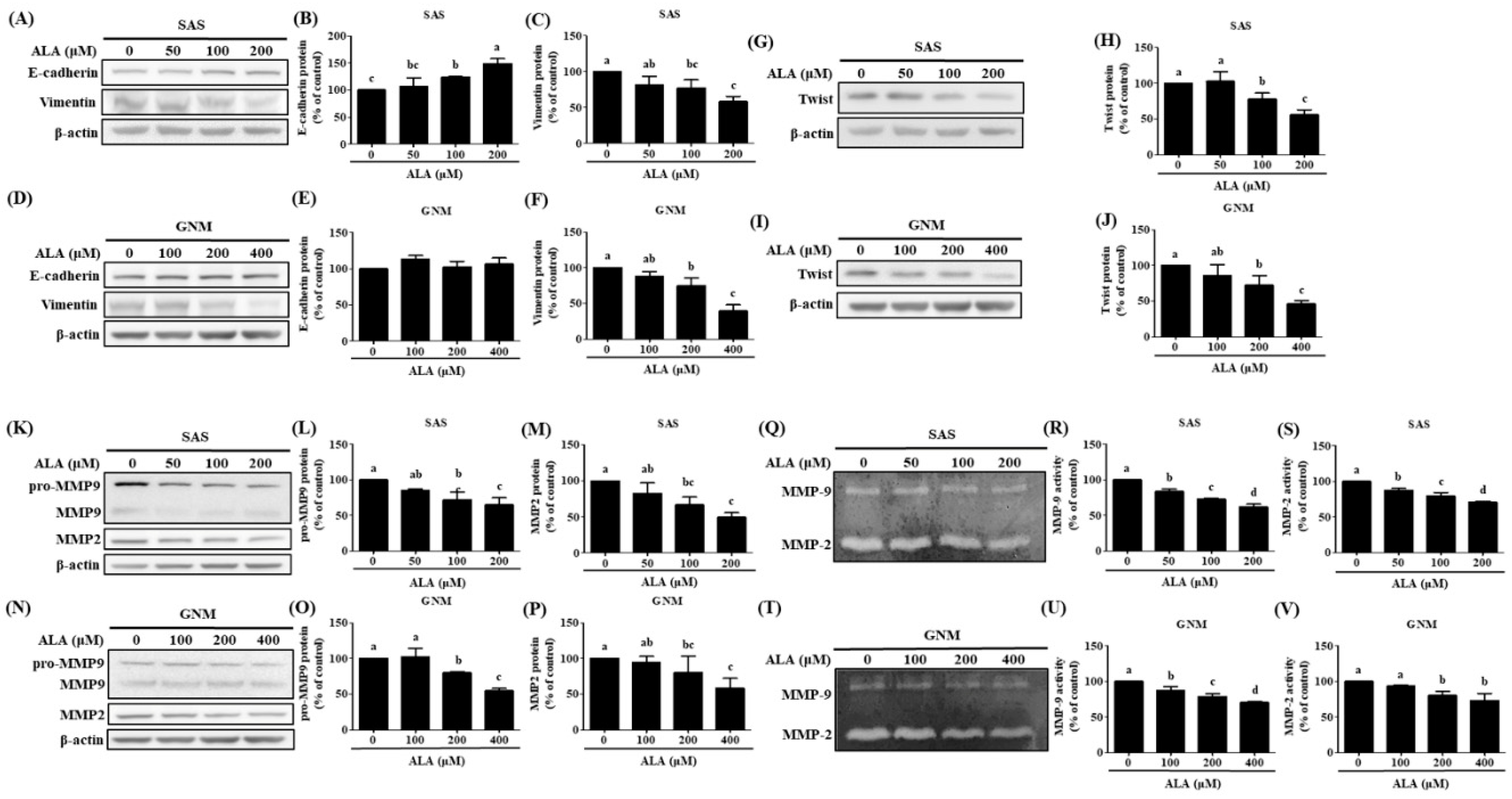 Preprints 87131 g003