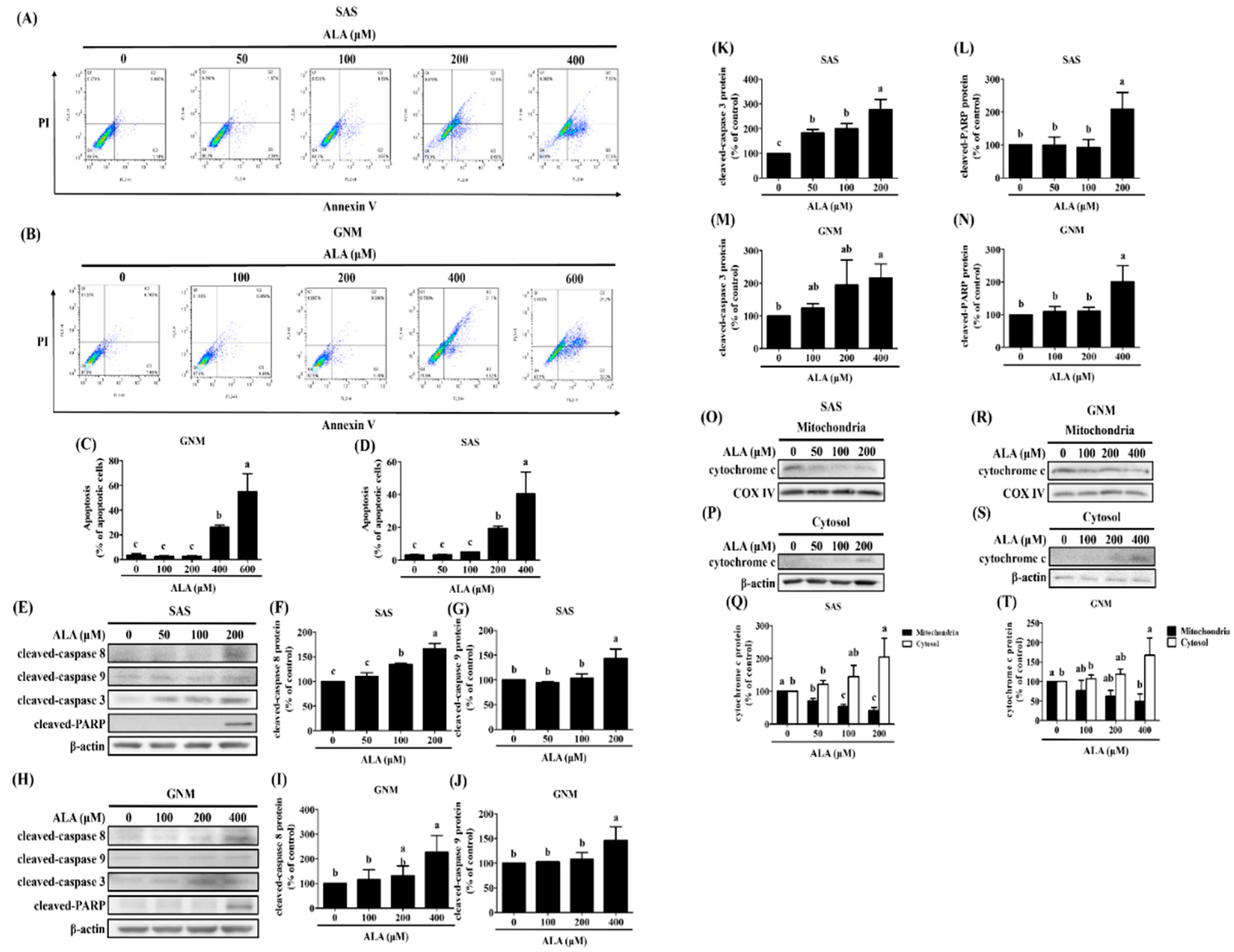 Preprints 87131 g004