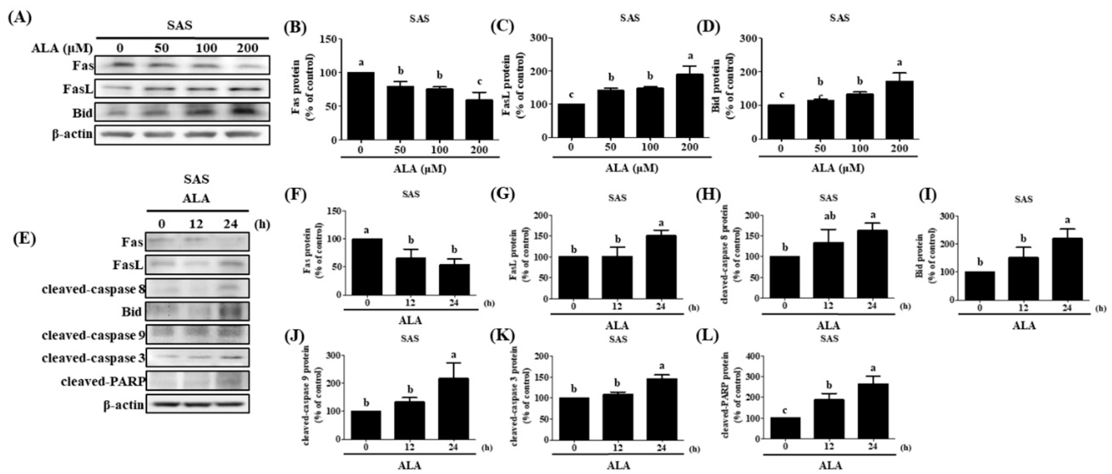 Preprints 87131 g005