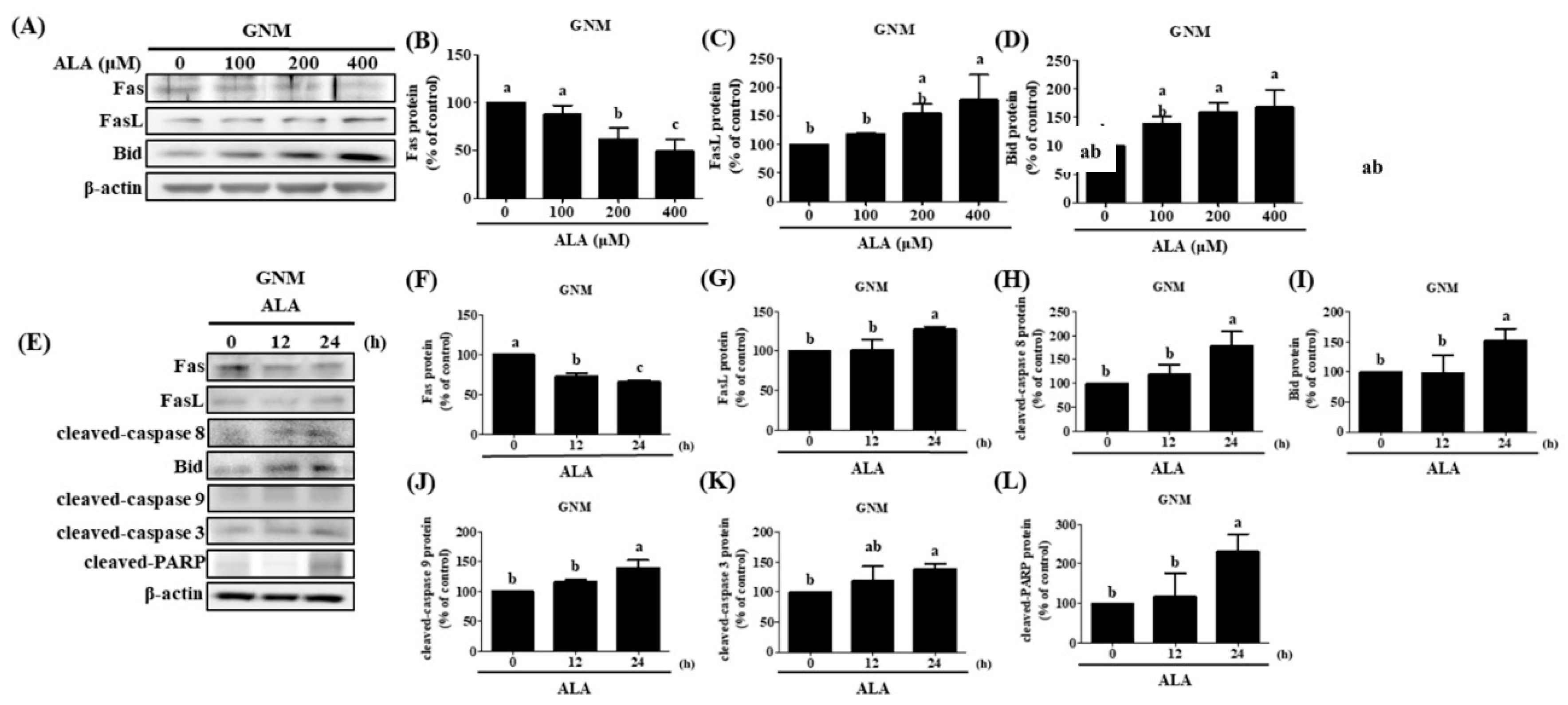 Preprints 87131 g006