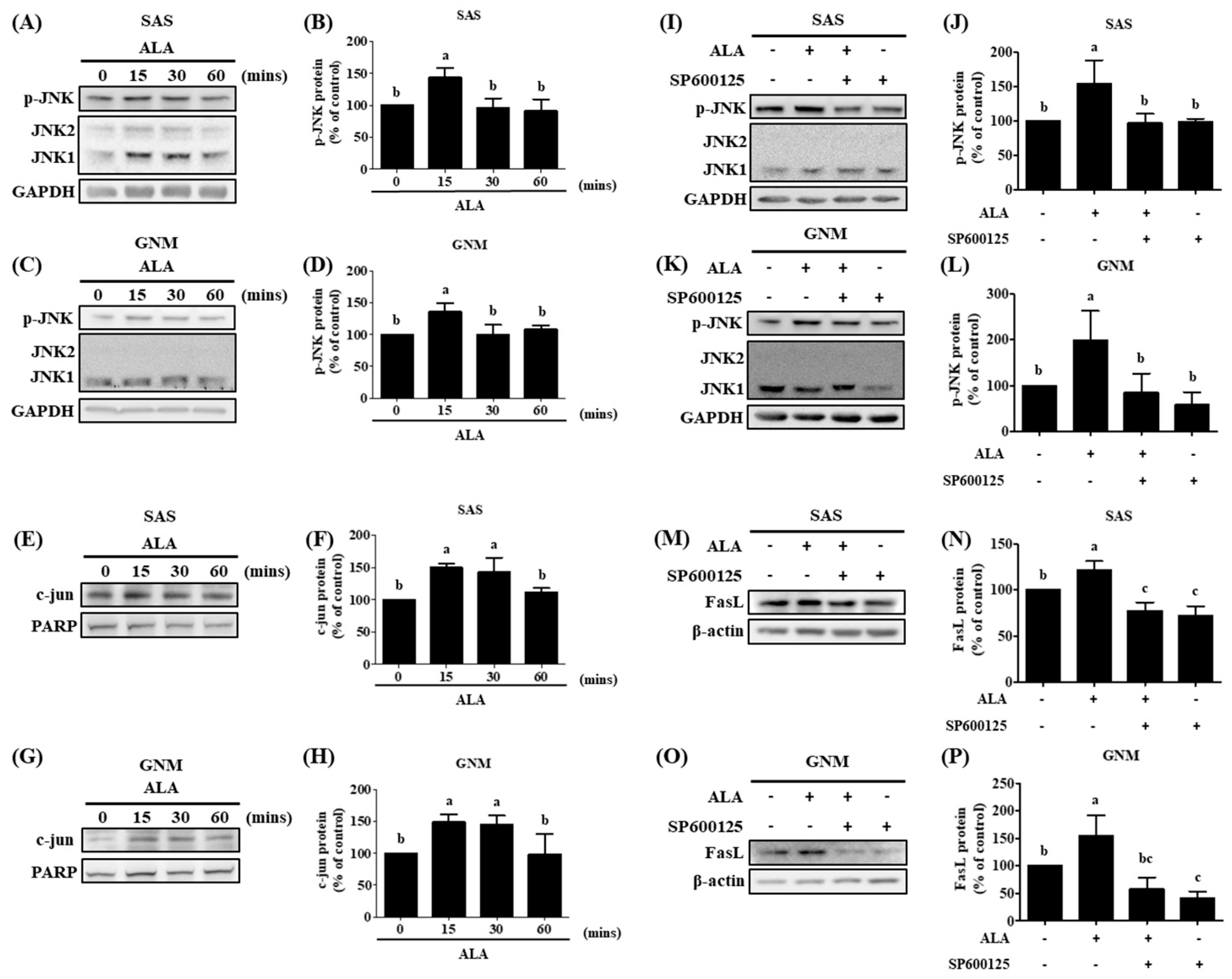 Preprints 87131 g007