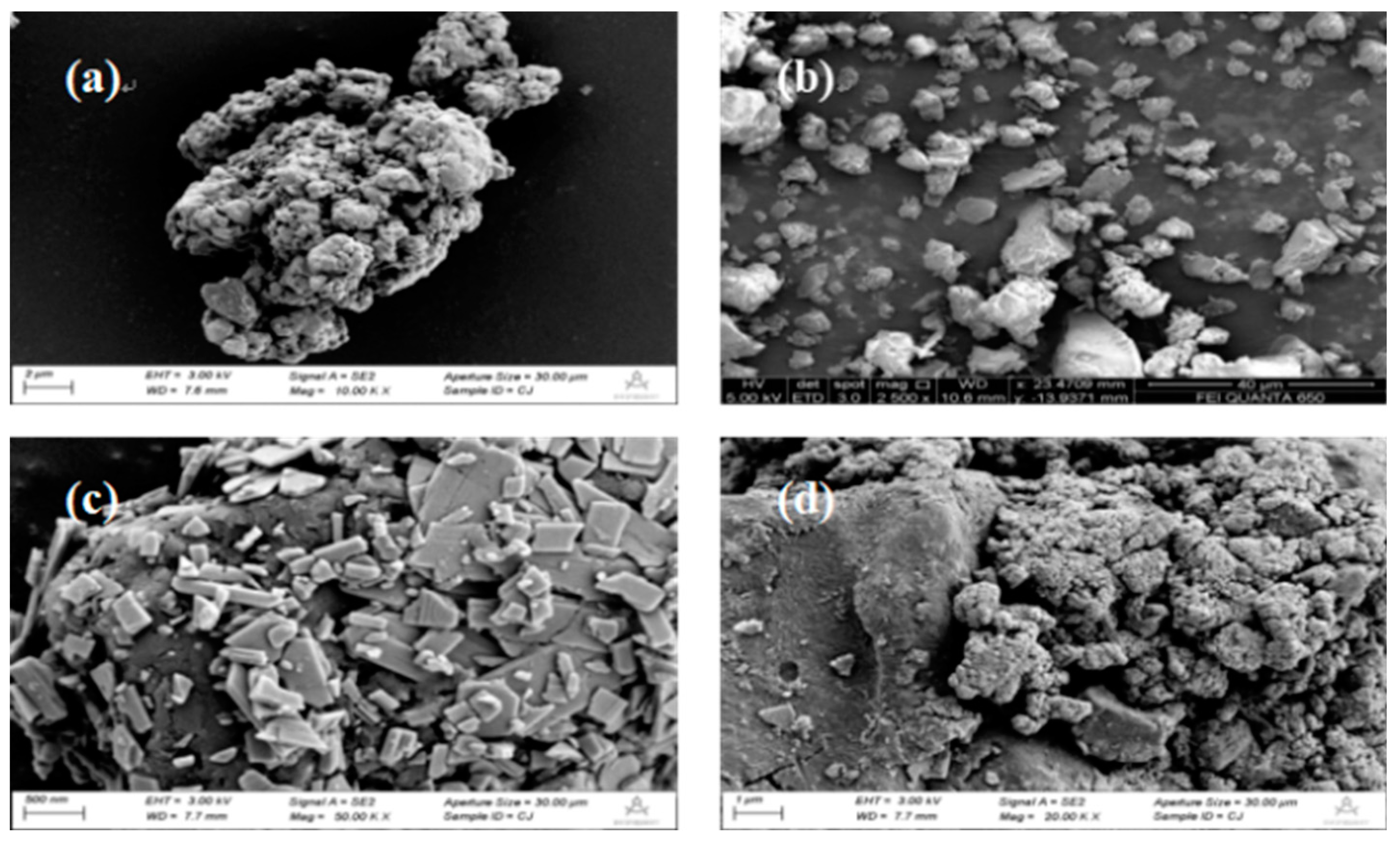 Preprints 92466 g001