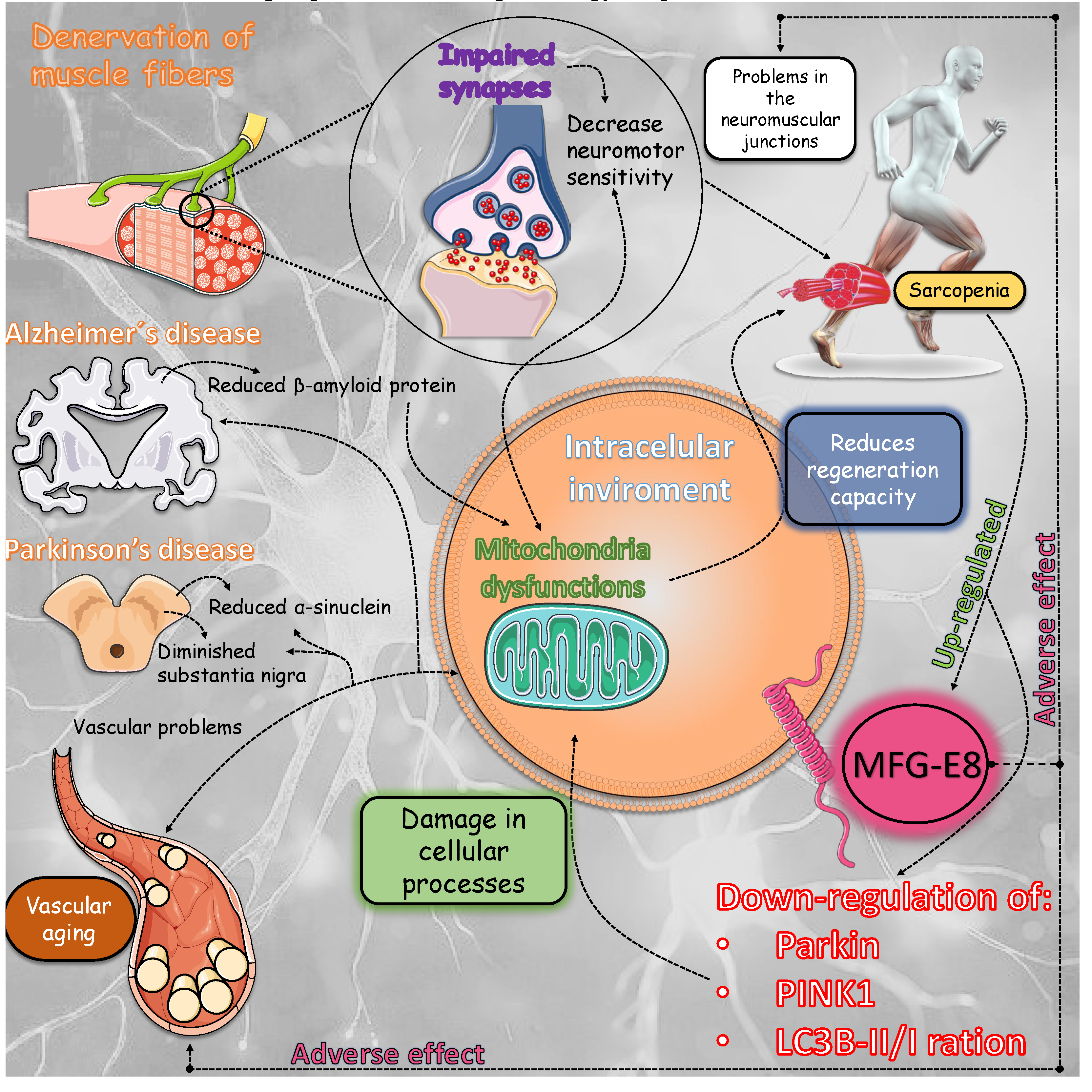 Preprints 113635 g003