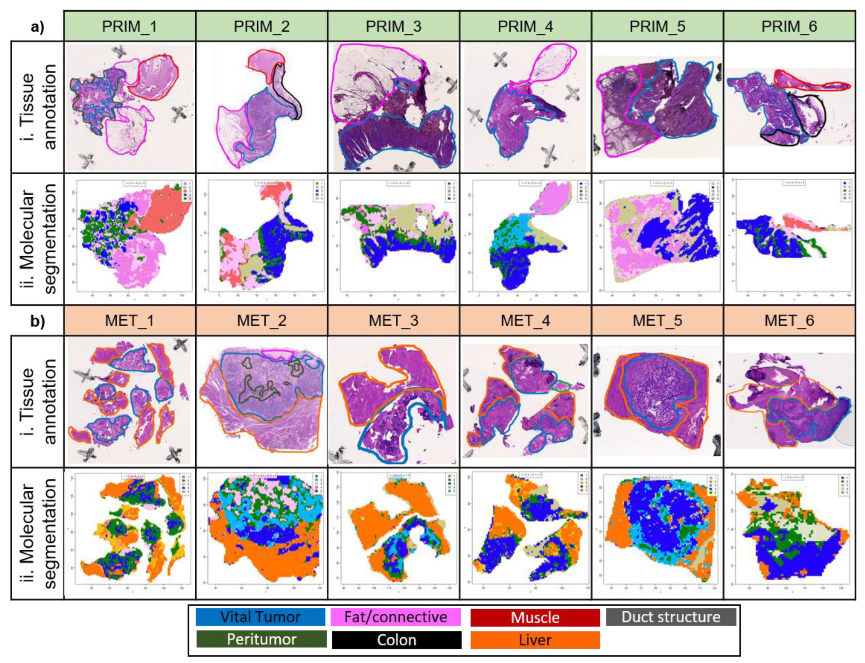 Preprints 68816 g001