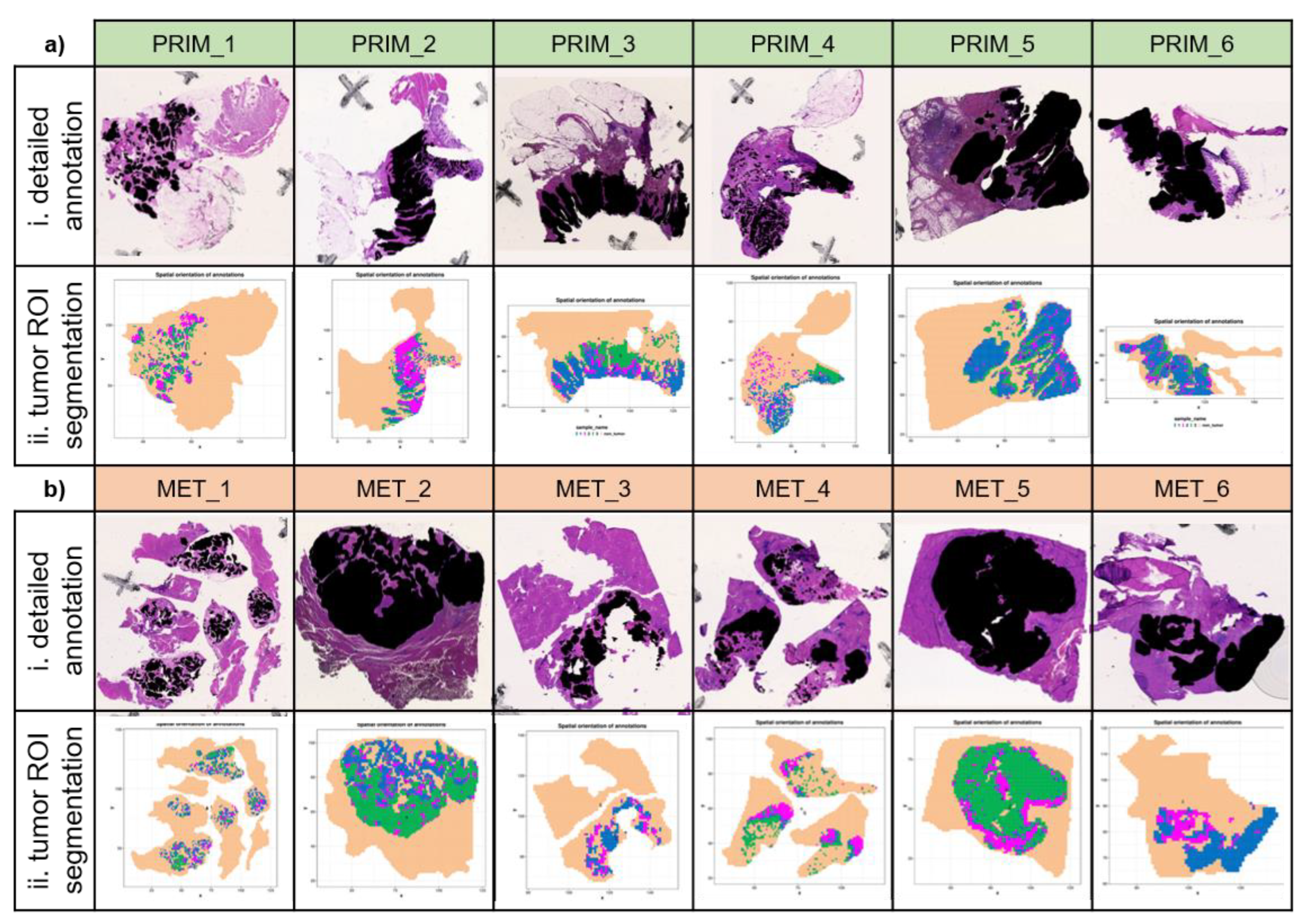 Preprints 68816 g002