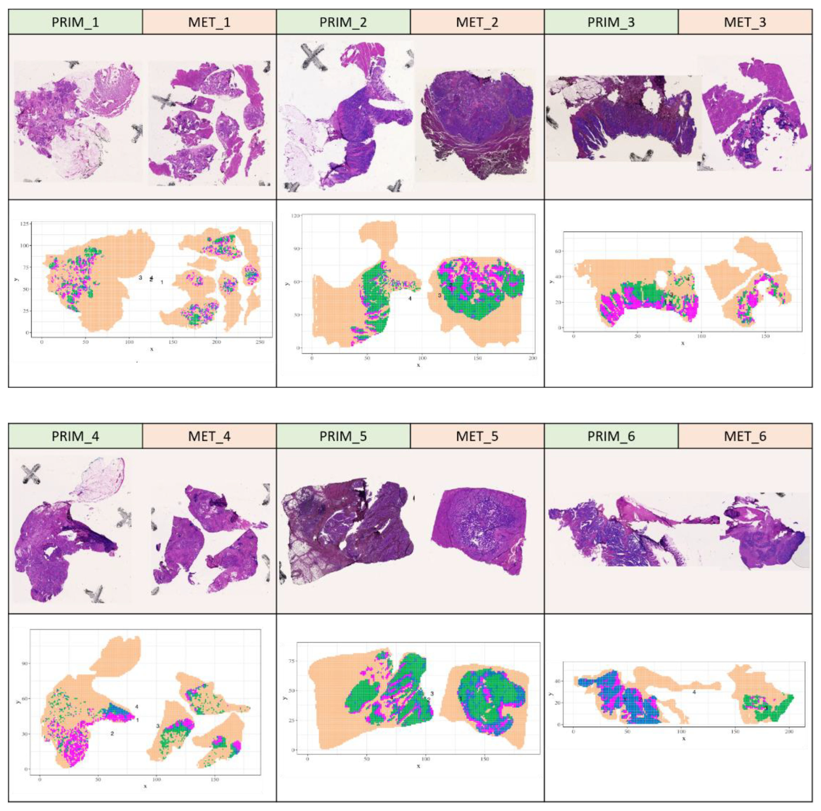 Preprints 68816 g003