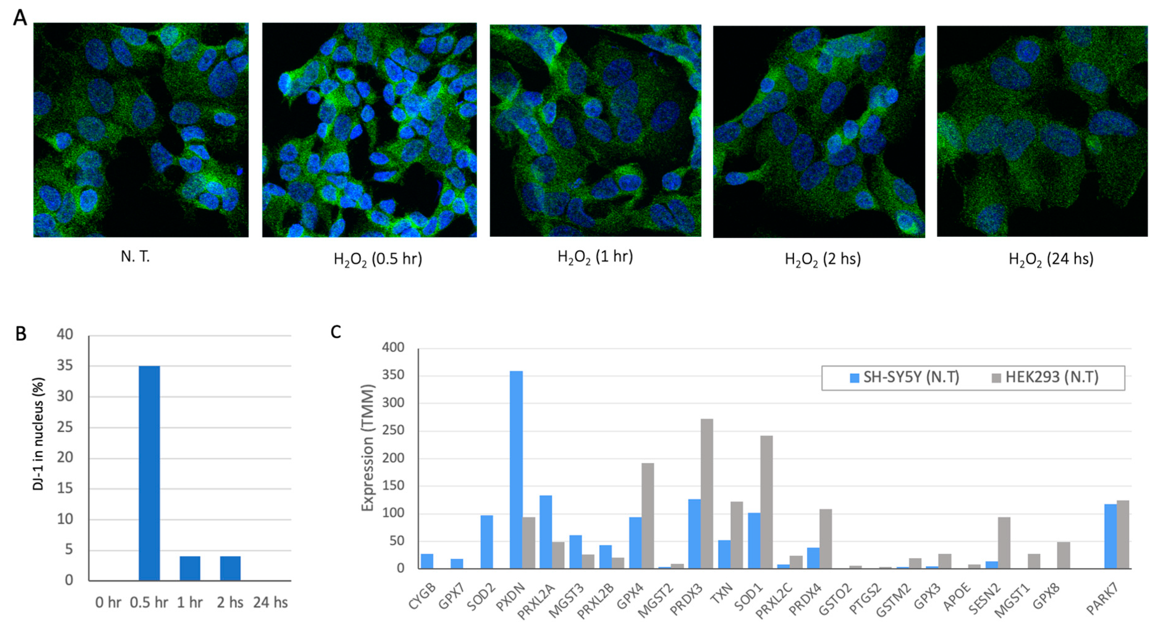 Preprints 109848 g001