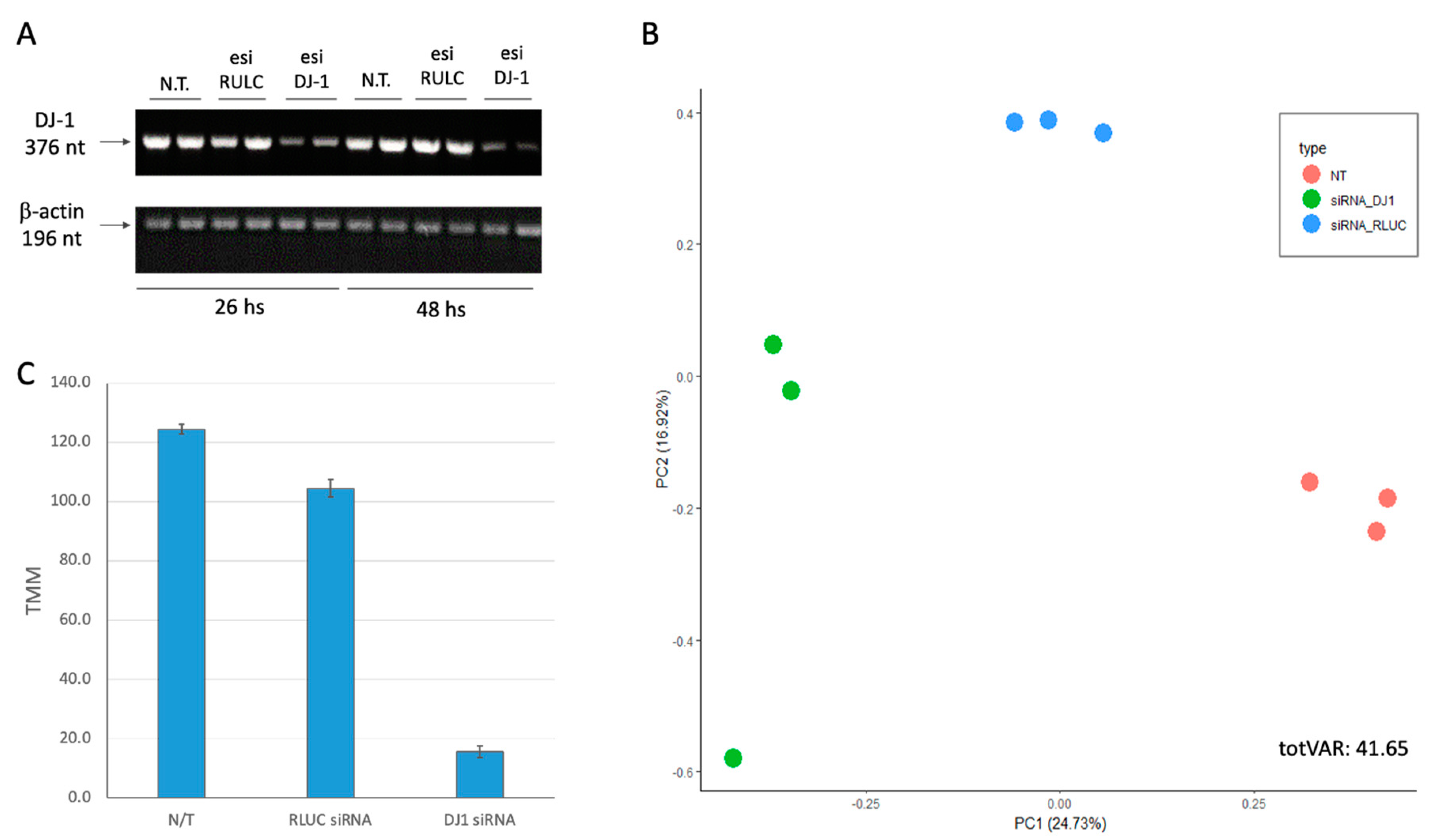 Preprints 109848 g002