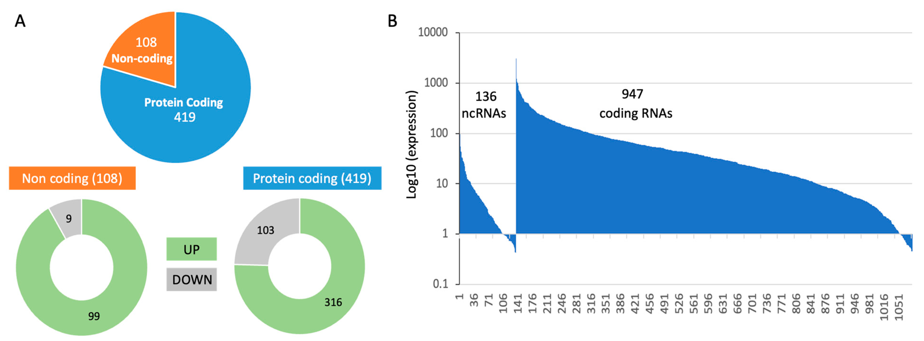 Preprints 109848 g003