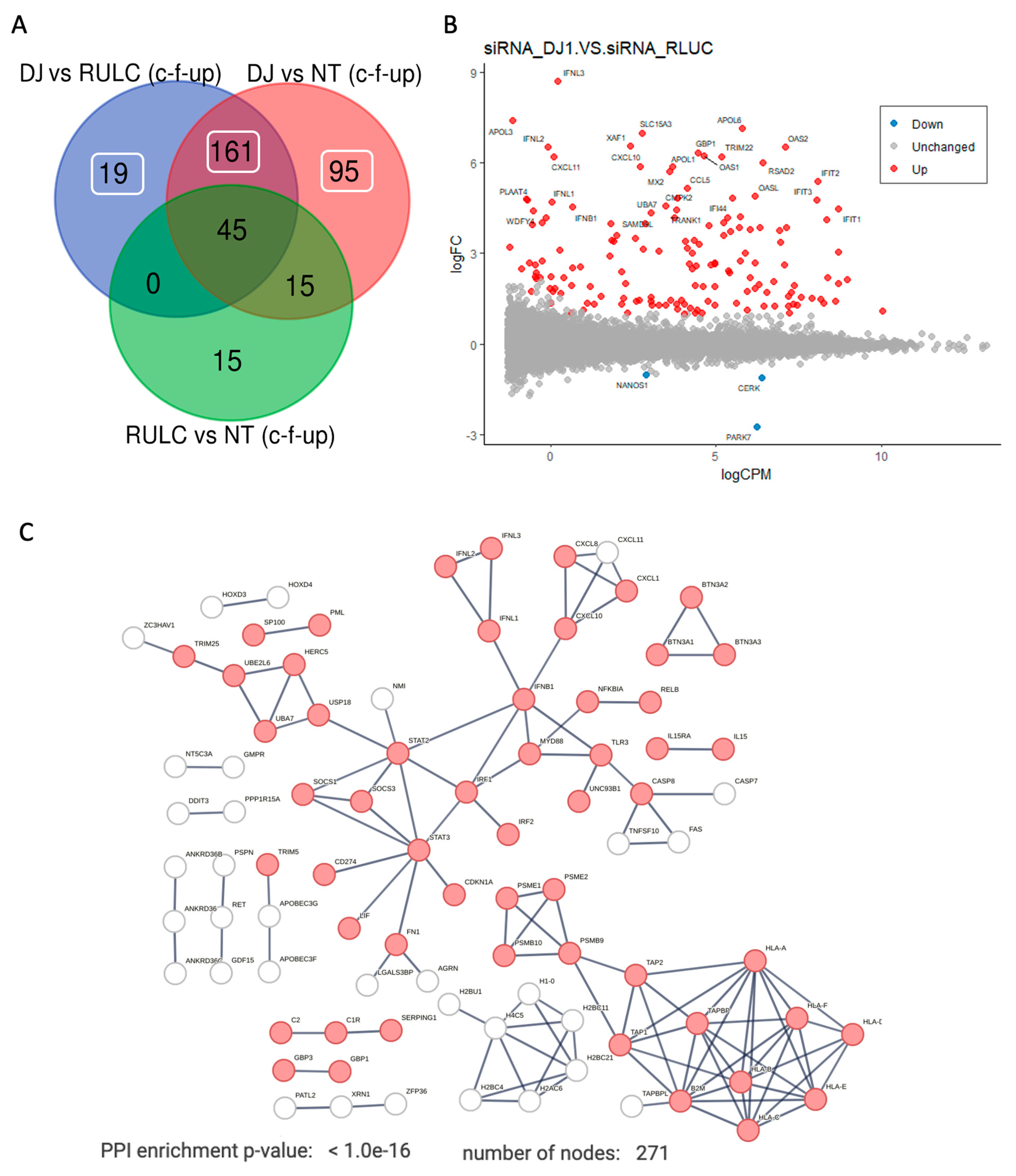 Preprints 109848 g005