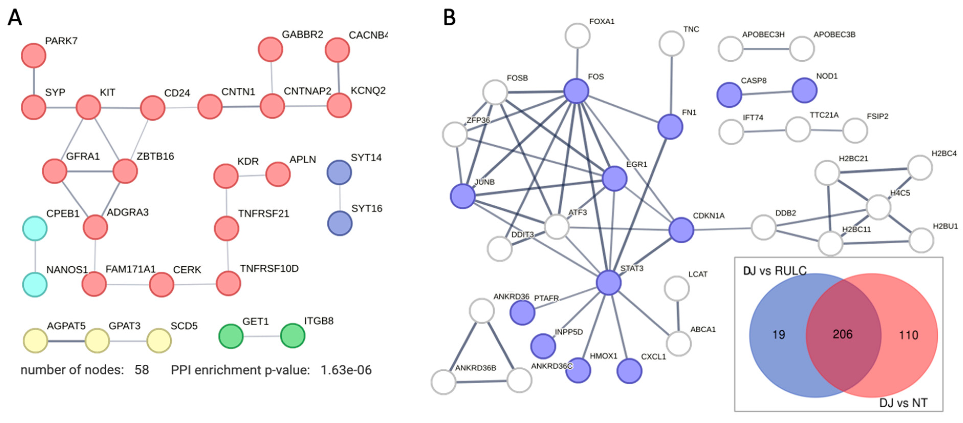 Preprints 109848 g006