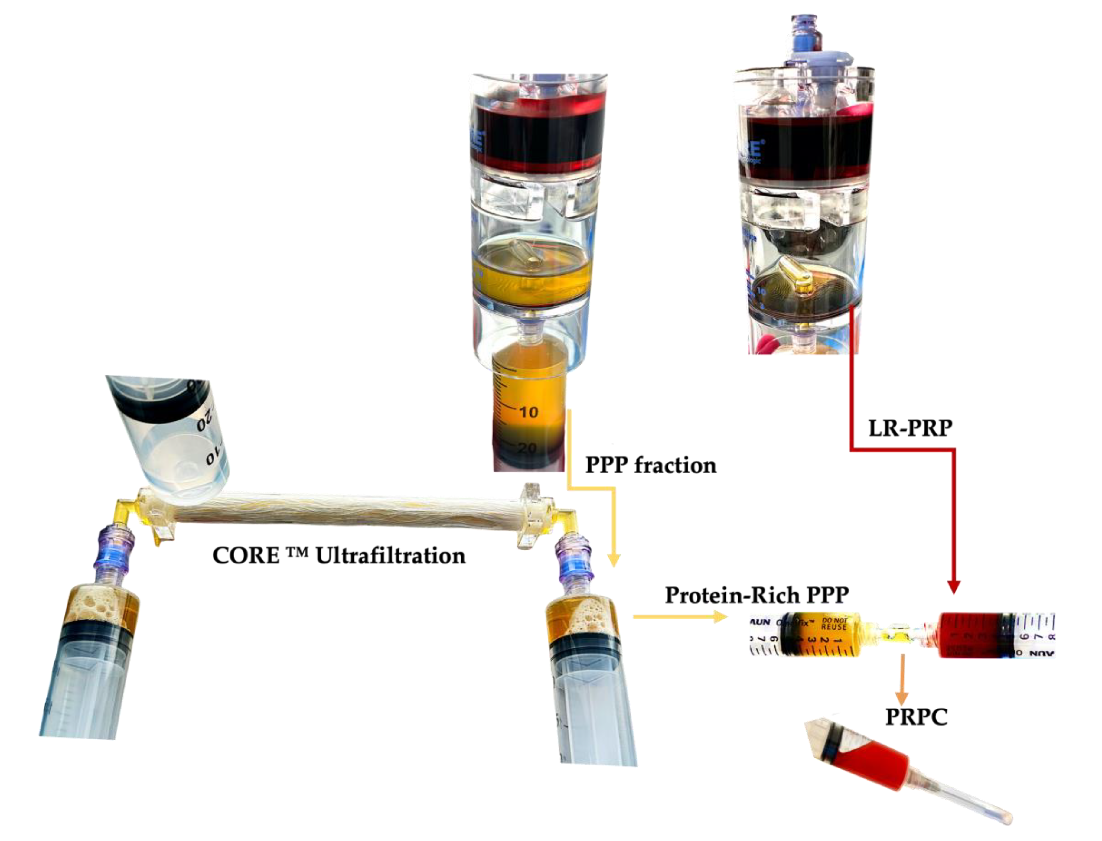 Preprints 107501 g002