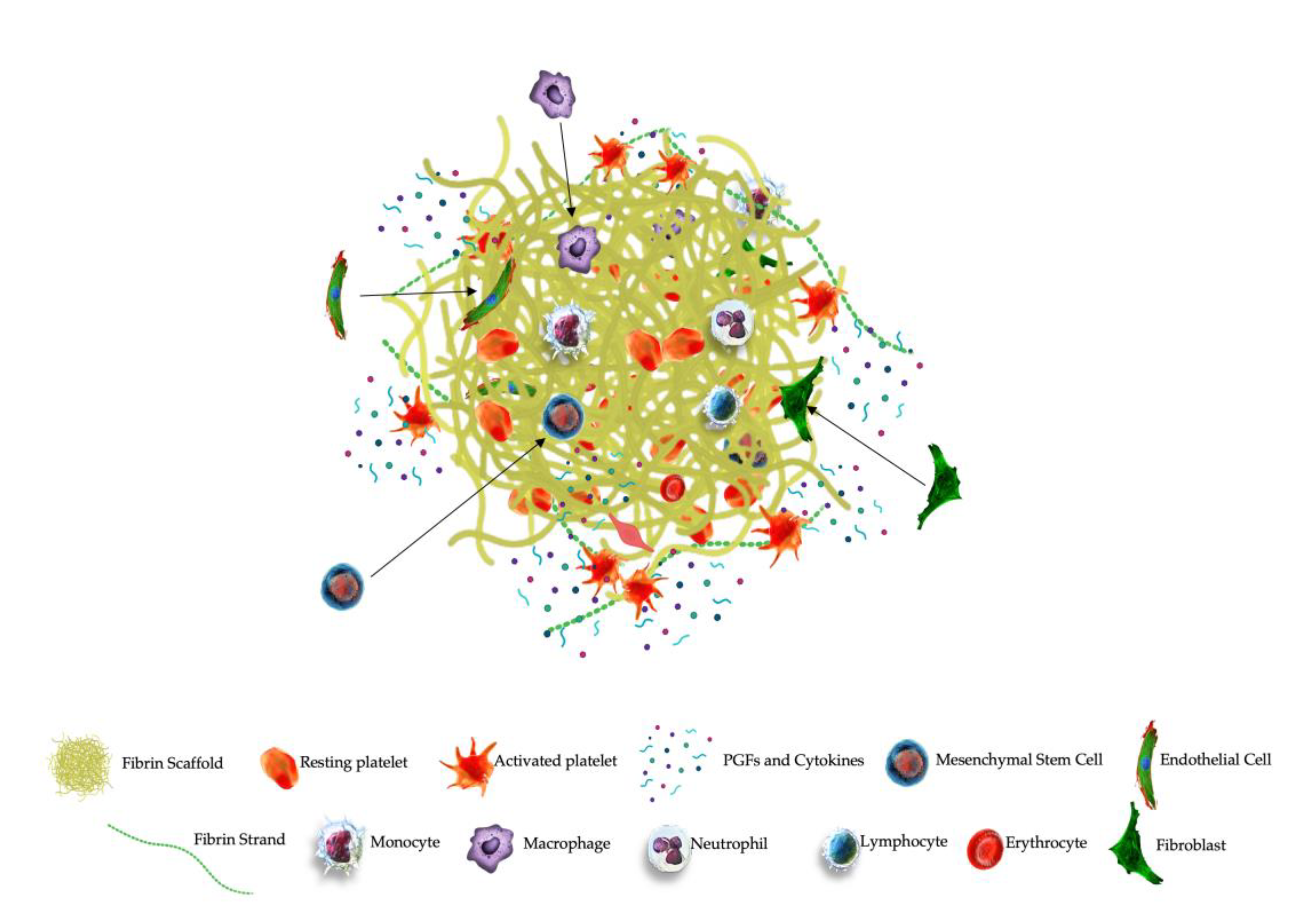 Preprints 107501 g005