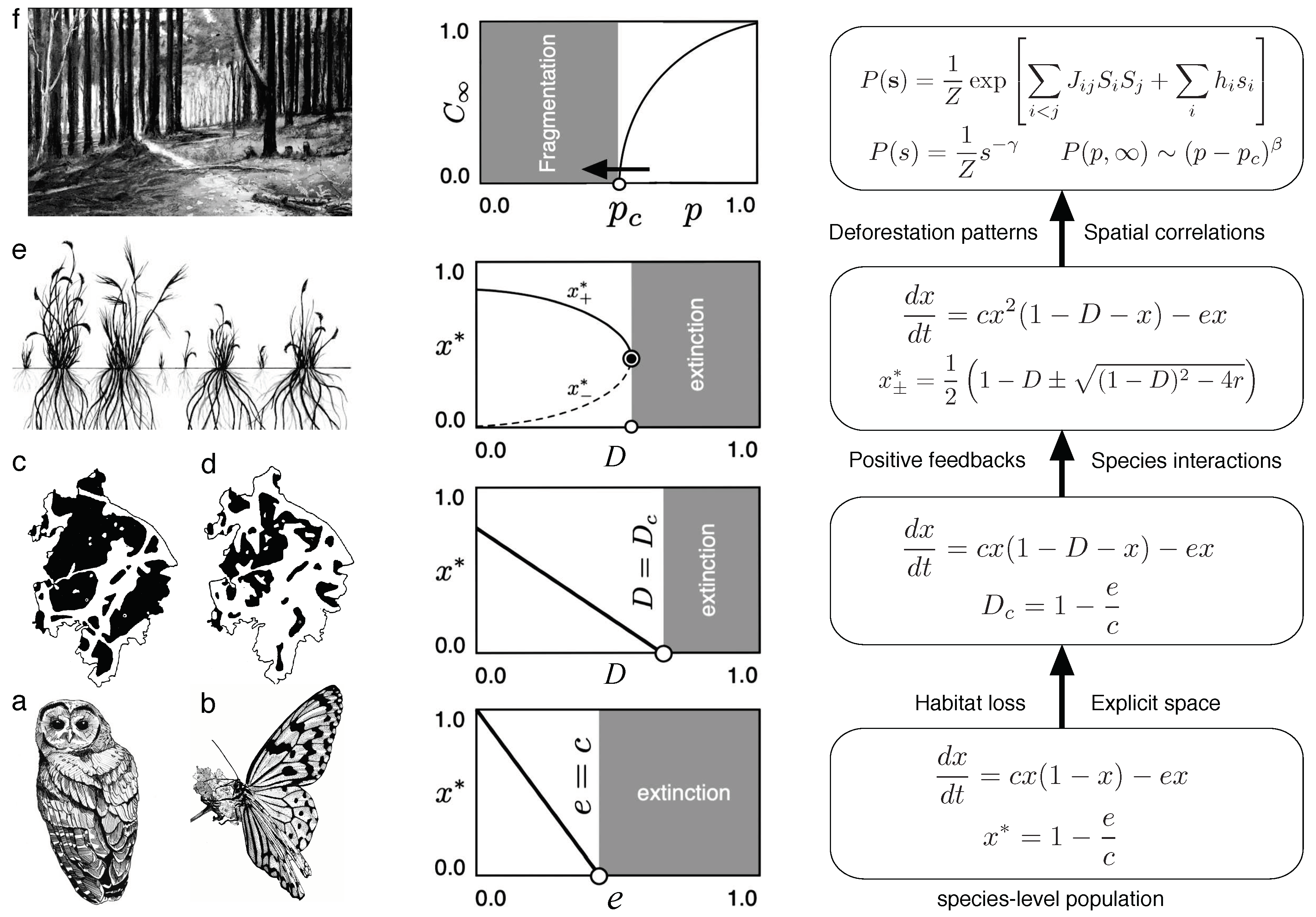 Preprints 88125 g008