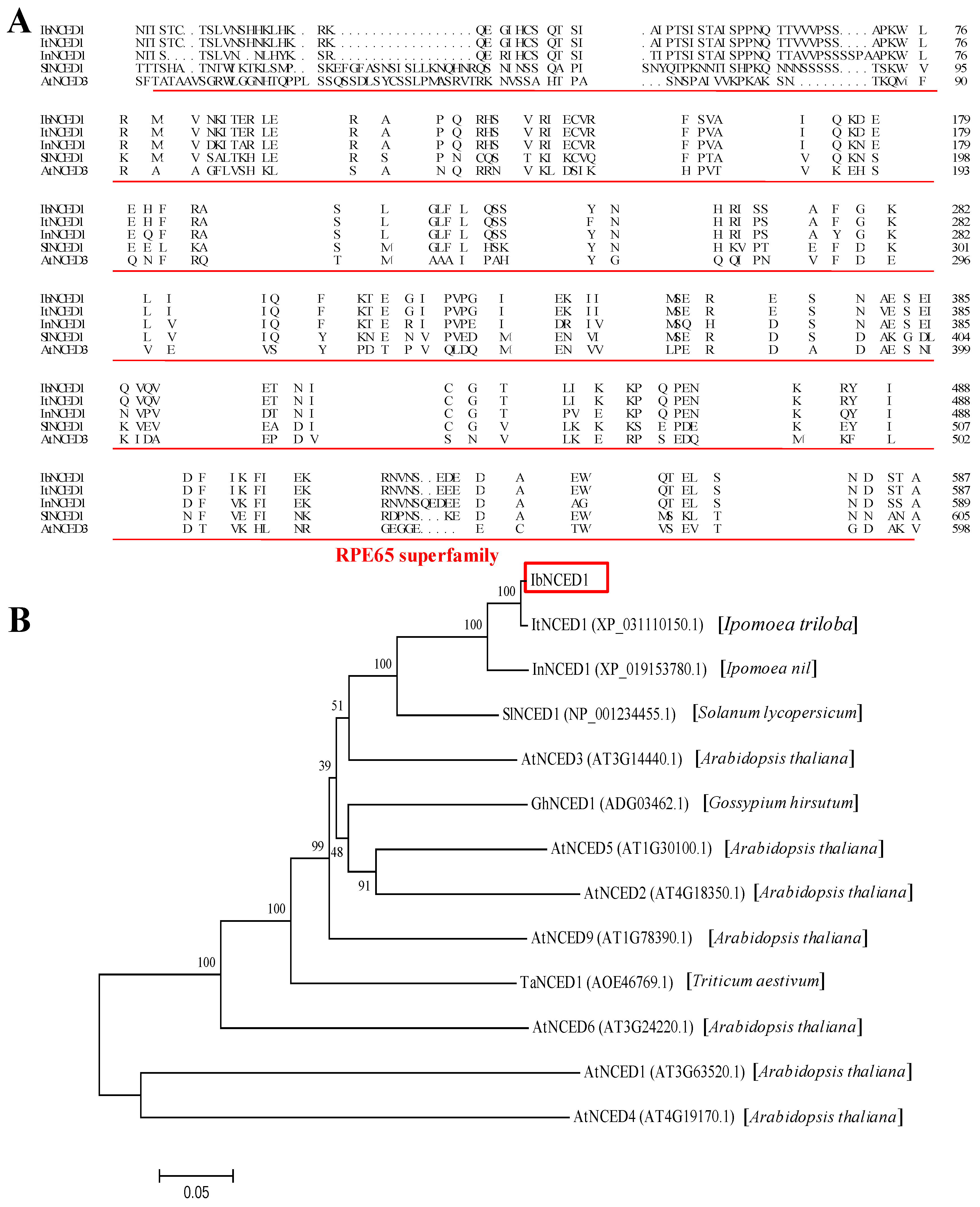 Preprints 76816 g001