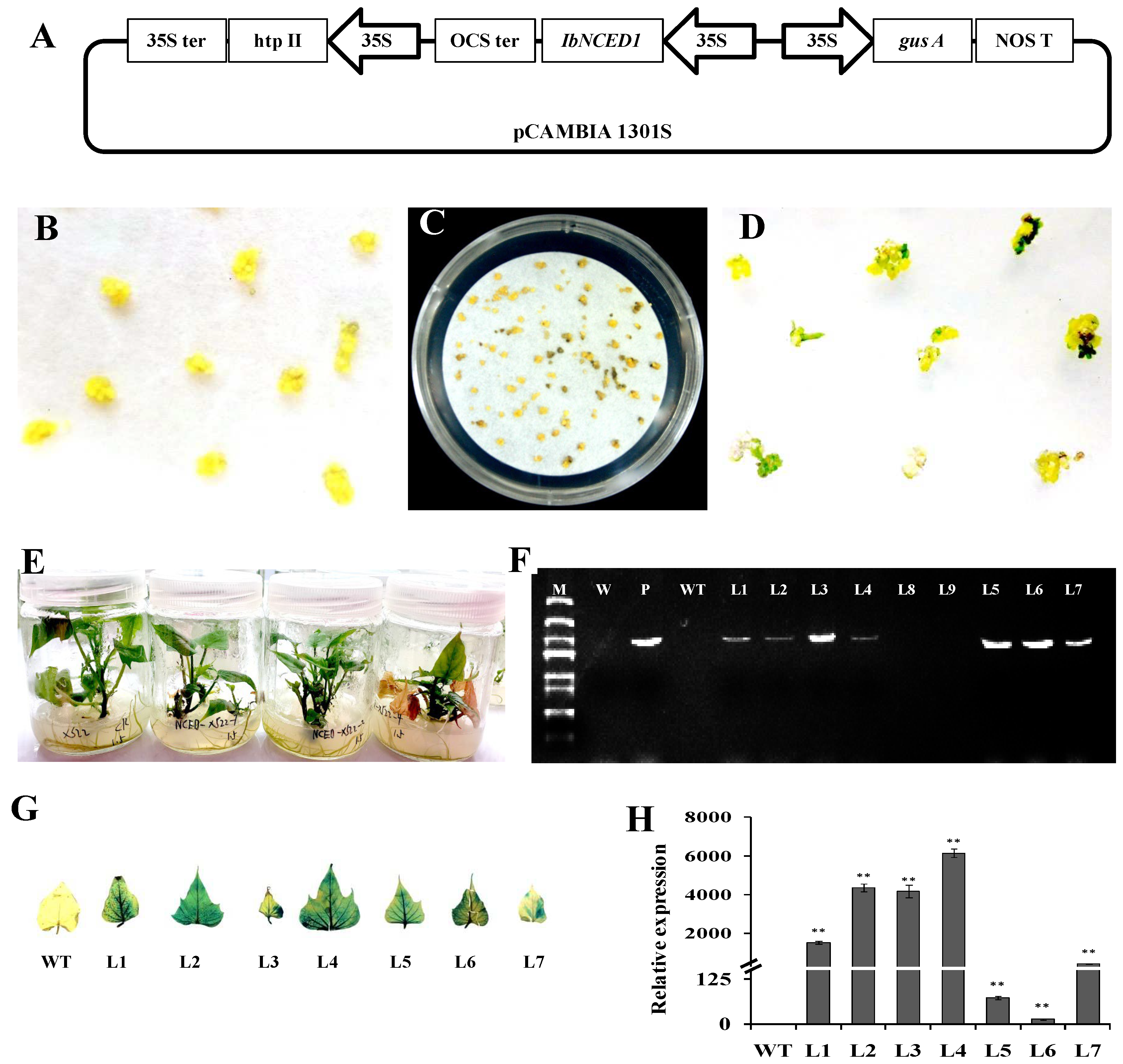 Preprints 76816 g003