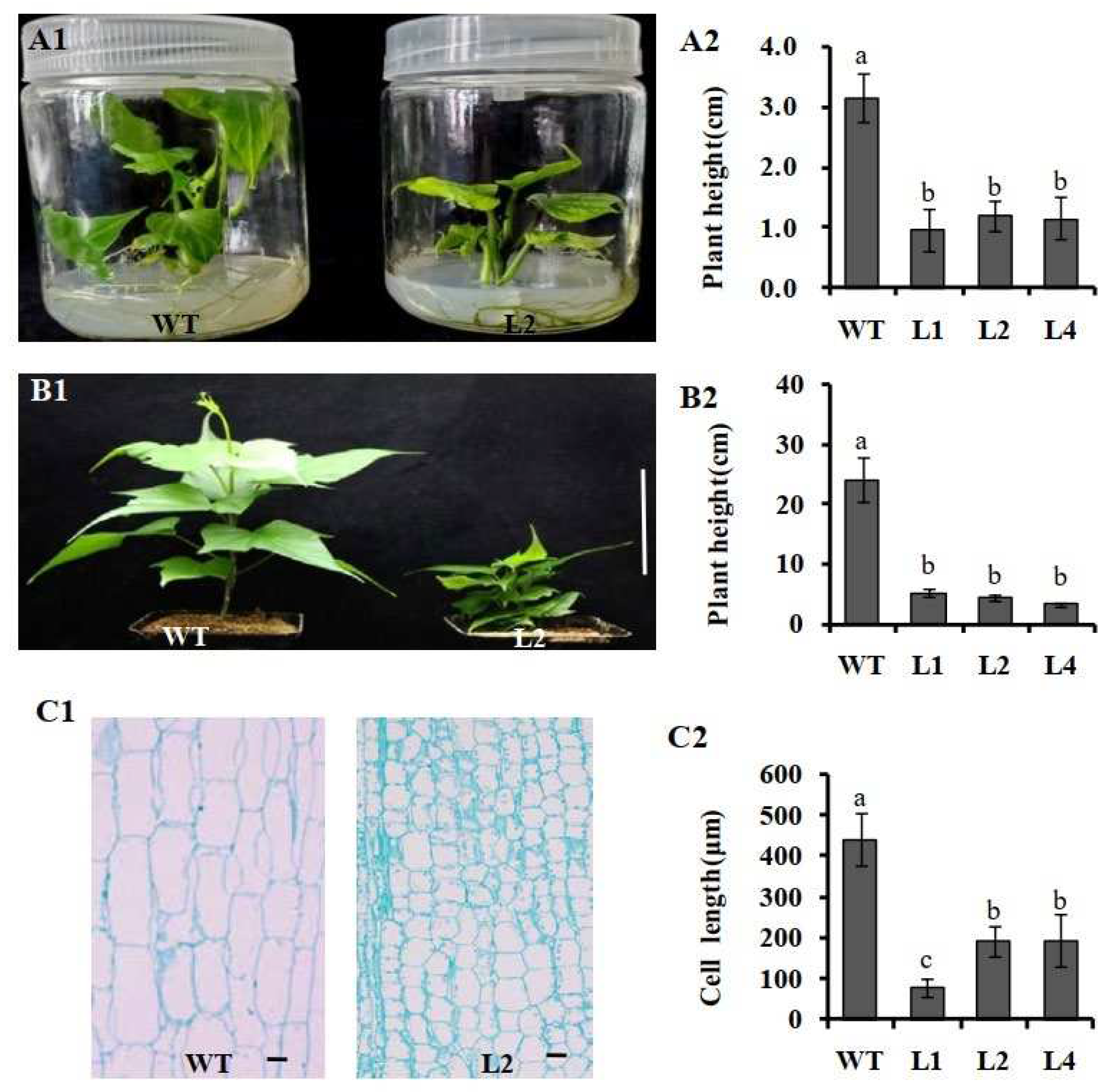 Preprints 76816 g004