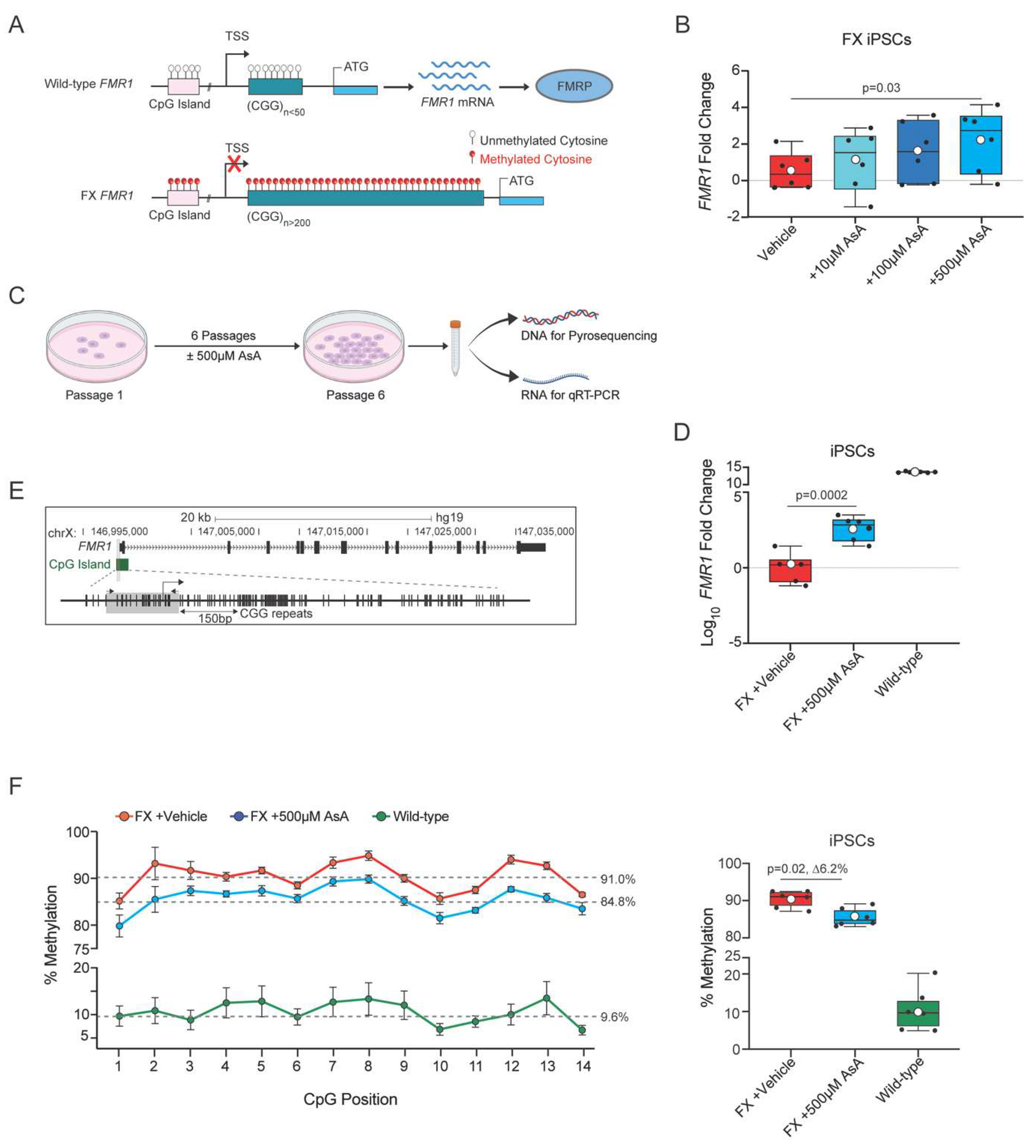 Preprints 120181 g001