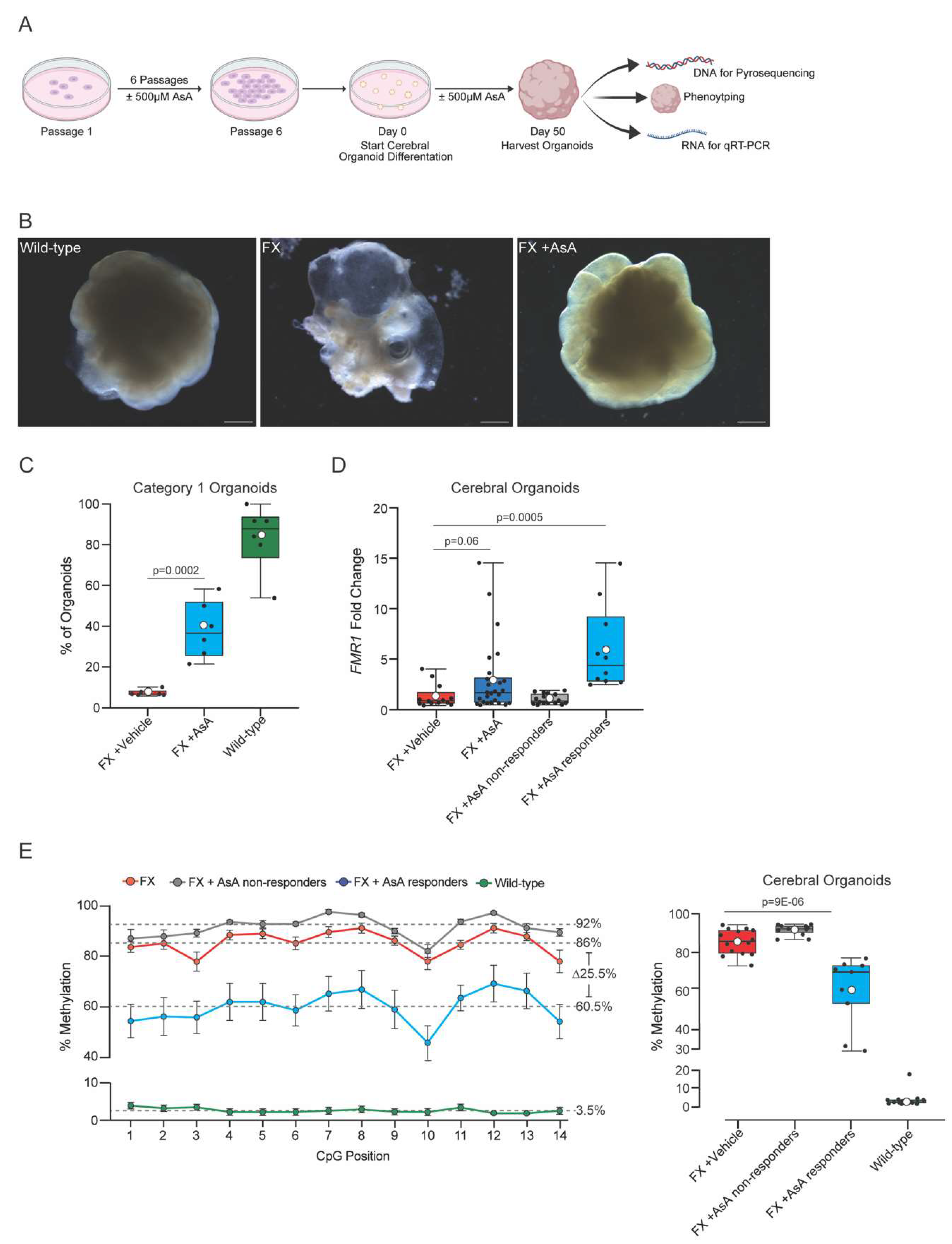 Preprints 120181 g002