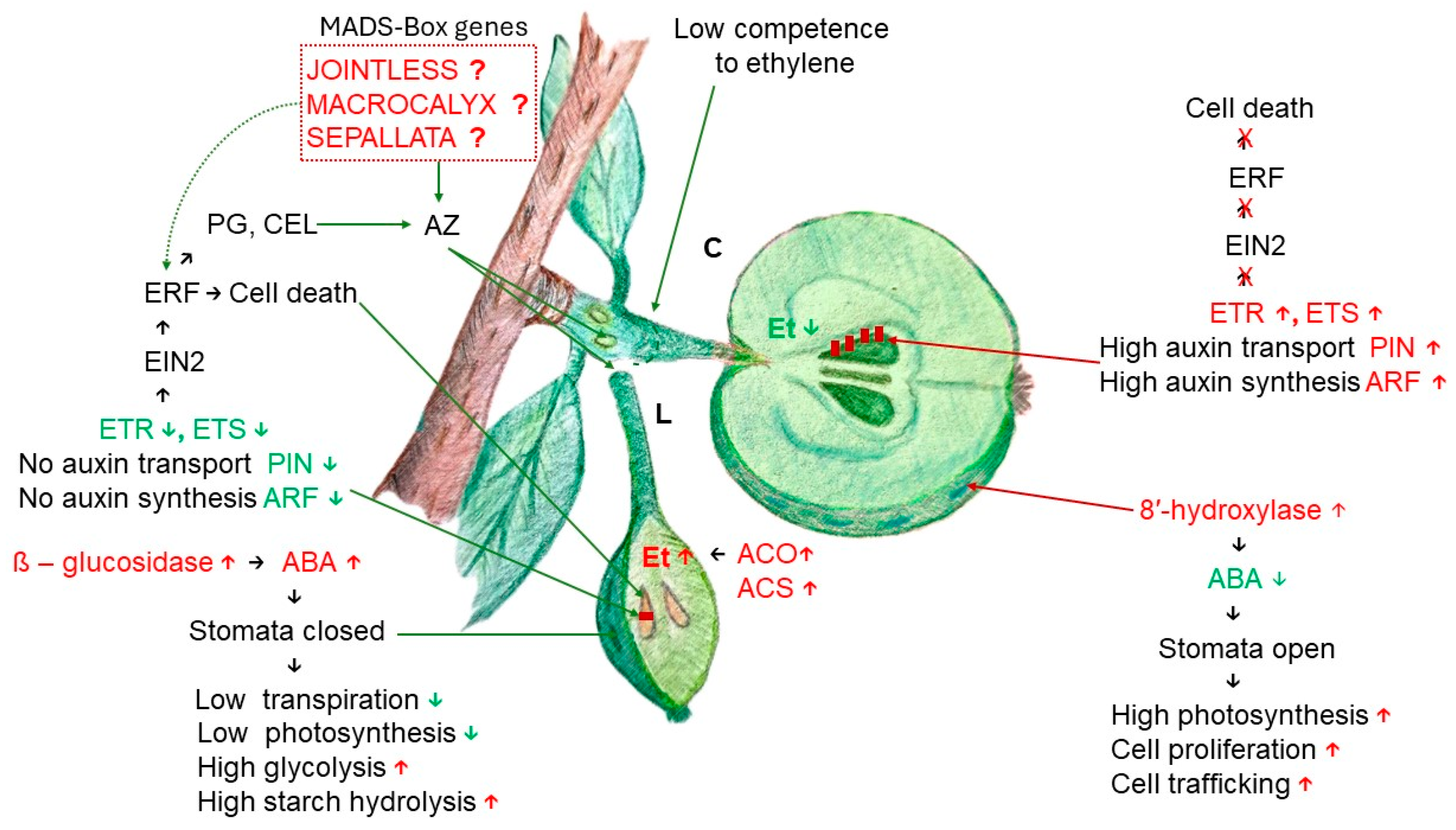 Preprints 116112 g001