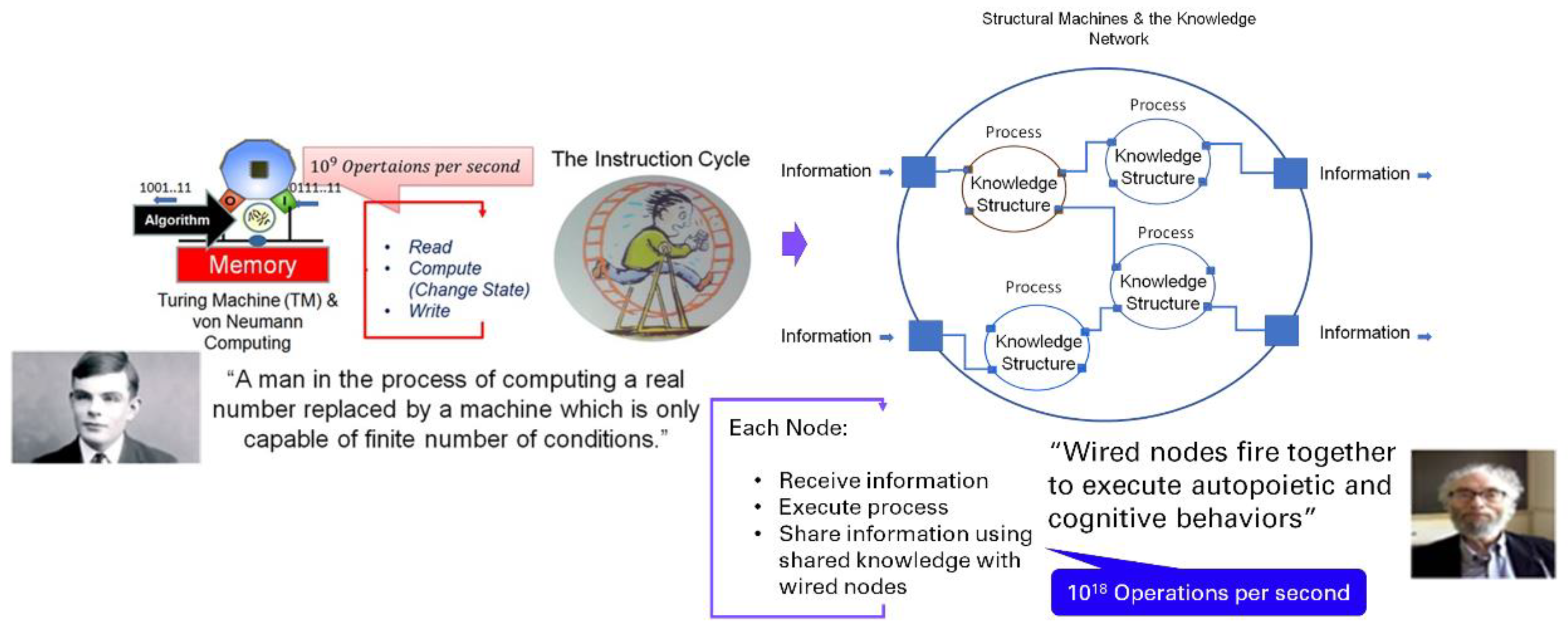 Preprints 114737 g004