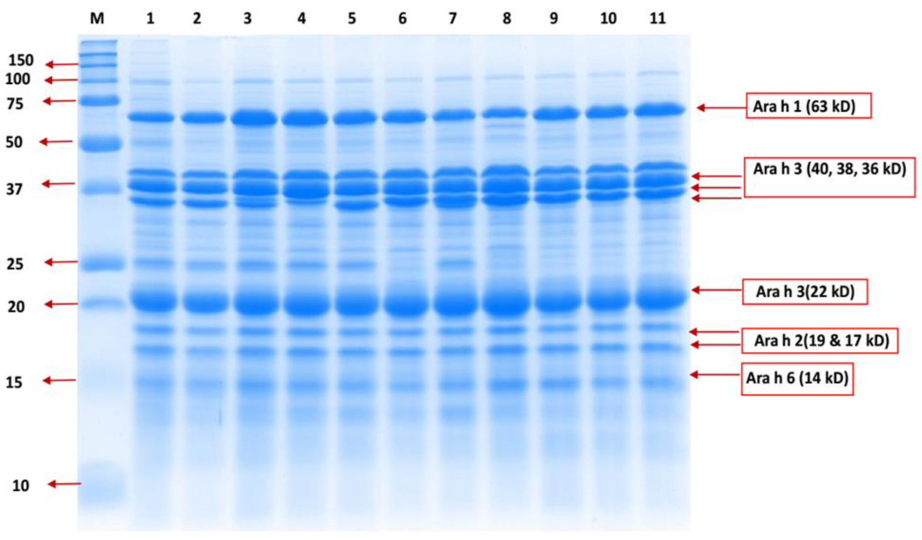 Preprints 113805 g001