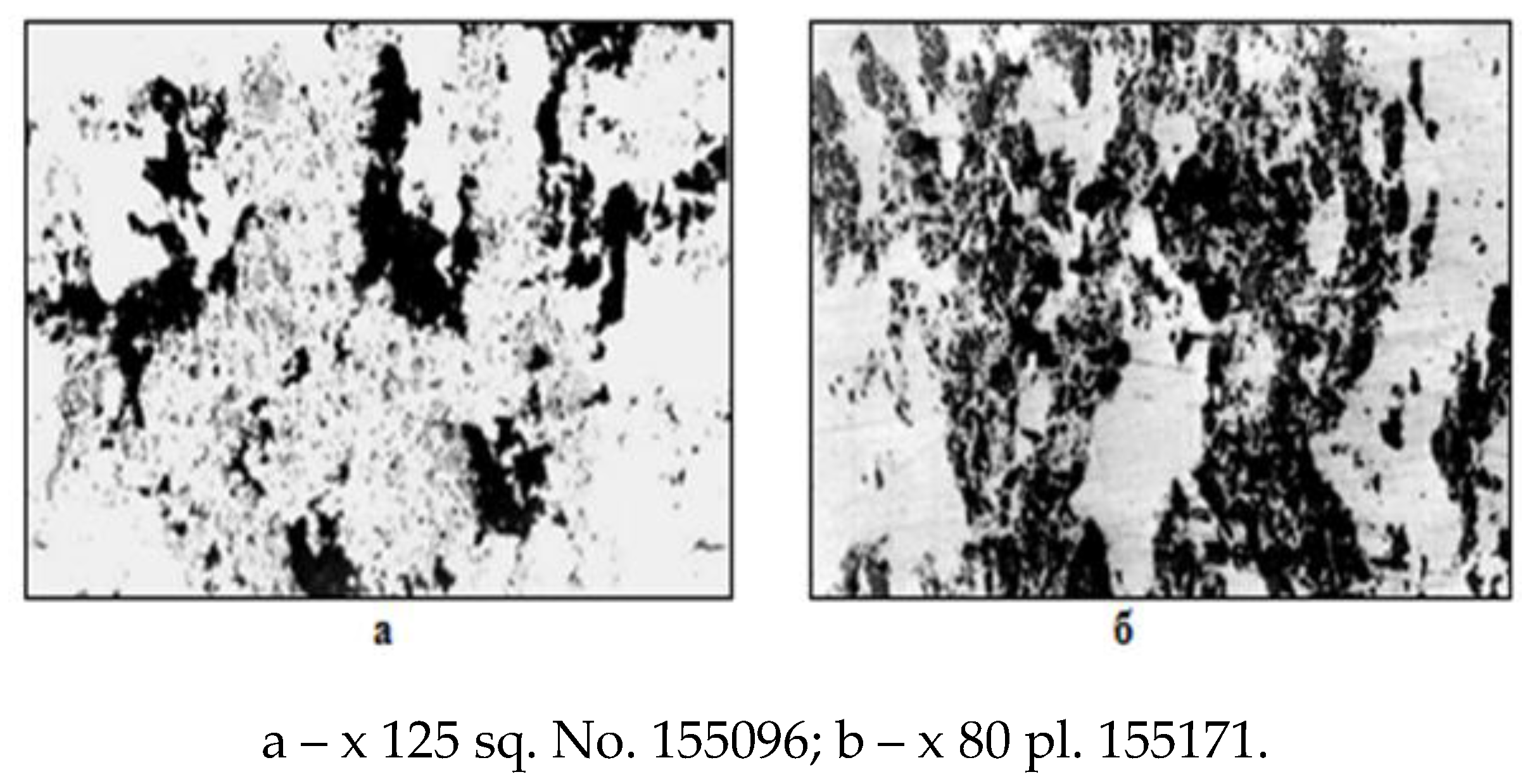 Preprints 91159 g003