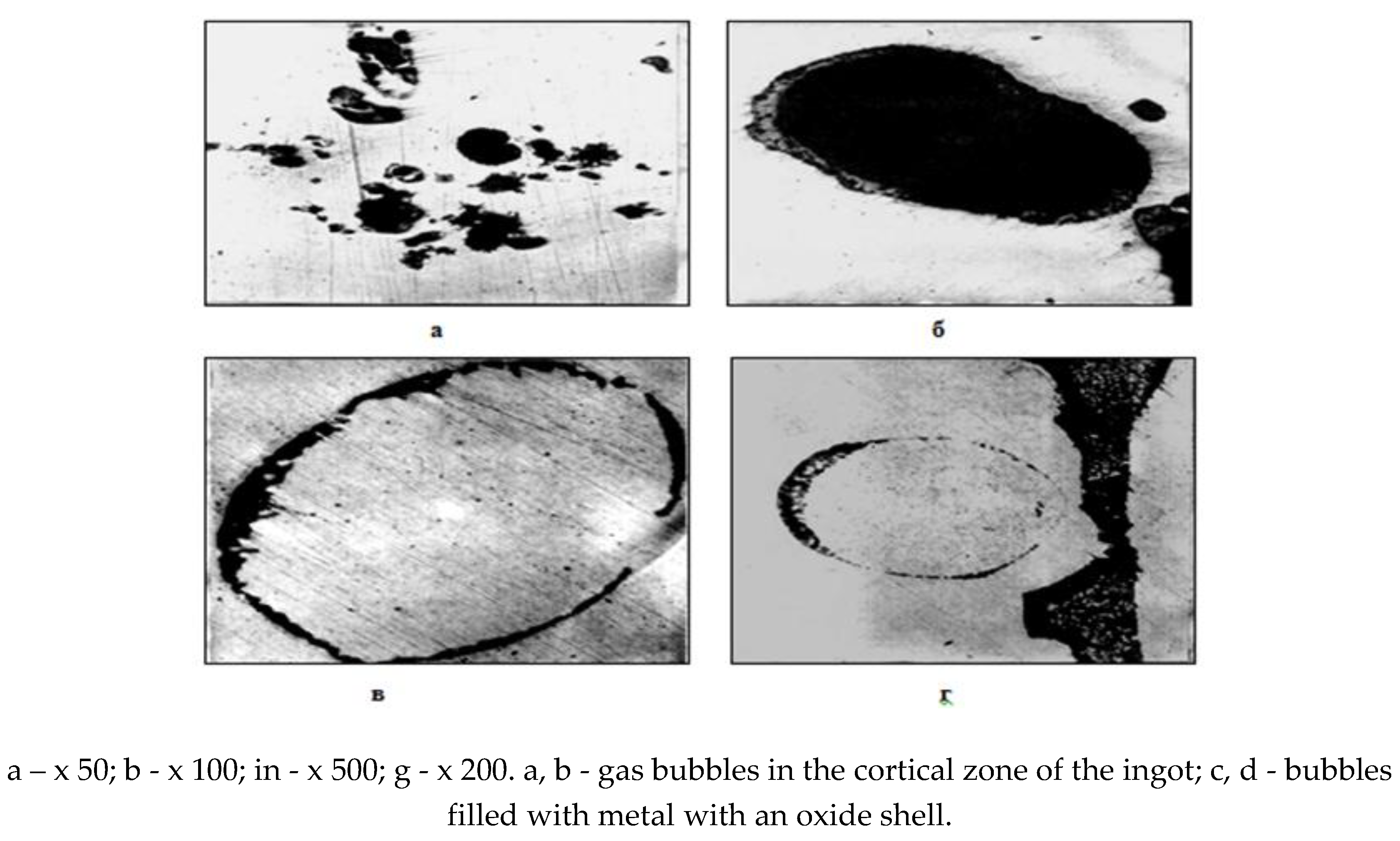 Preprints 91159 g005