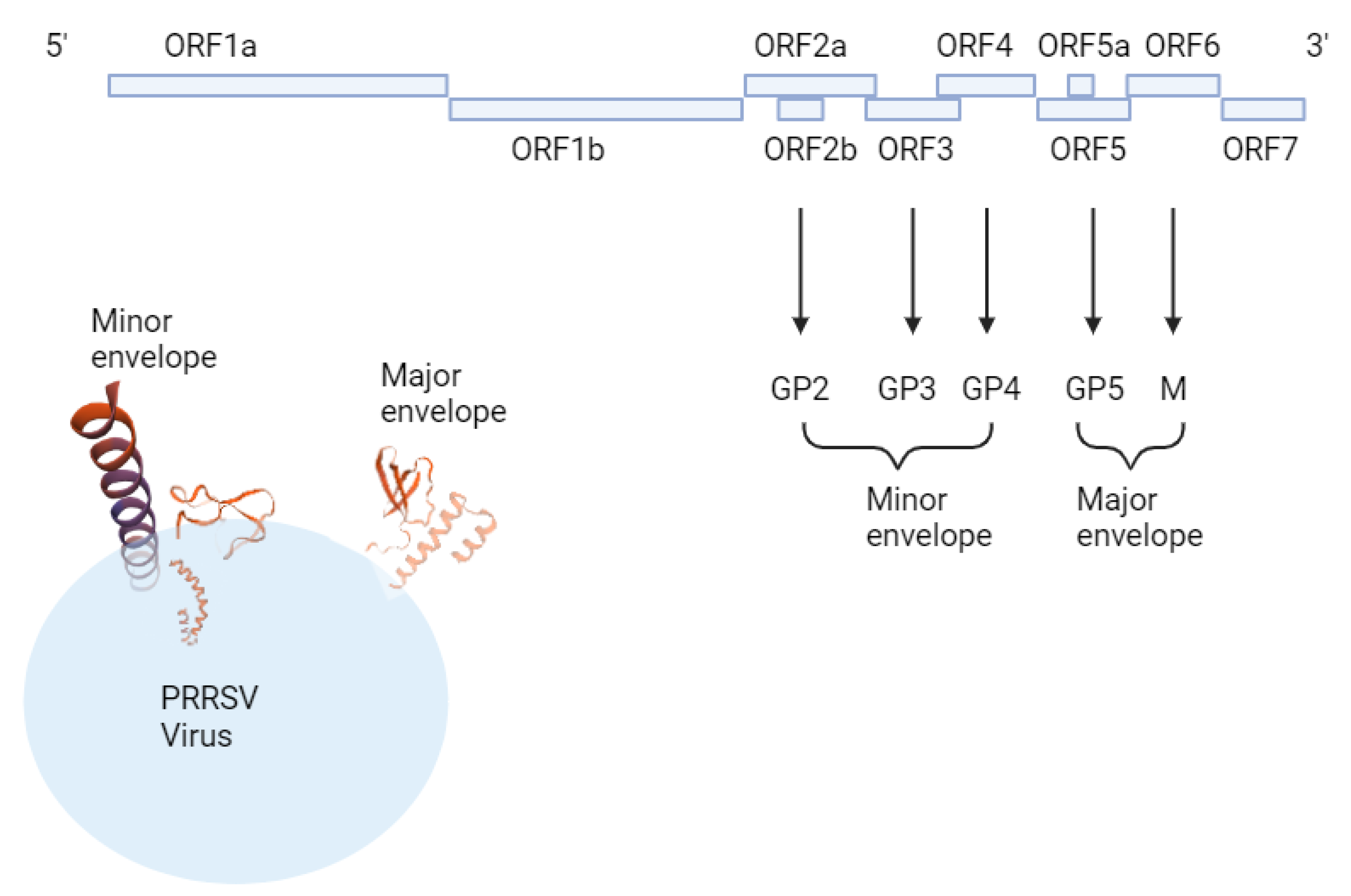 Preprints 116297 g002